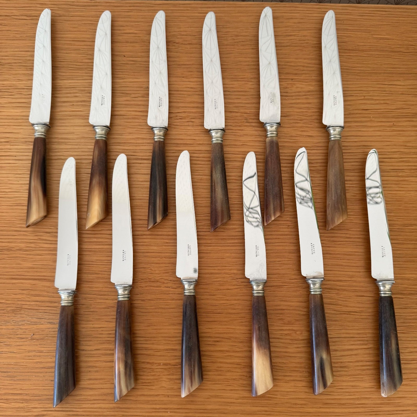 French Steak Knives Horn Handles Silver Ferrules Set of 12 Vintage 0302268 Unbranded