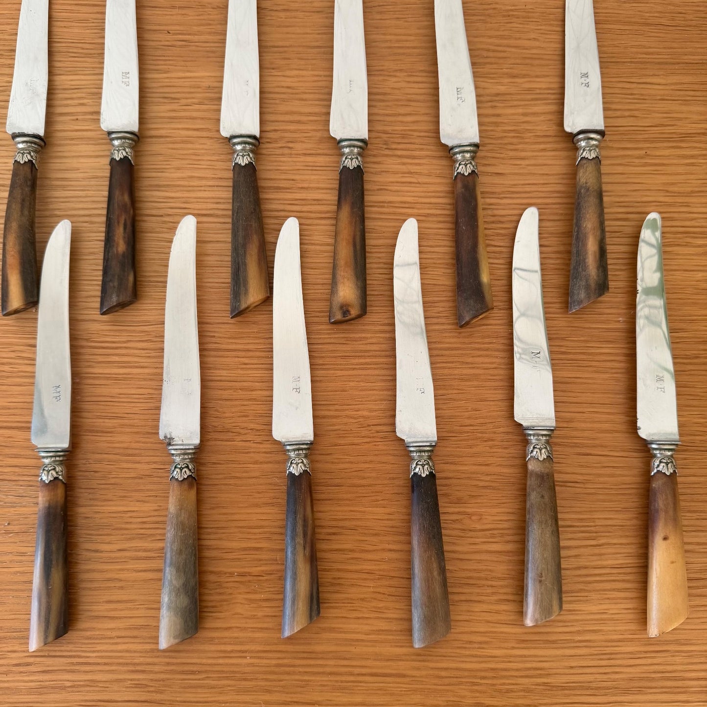 Antique French Dinner Steak Knives Horn Handles Silver Collar 12pcs 0302267 Unbranded