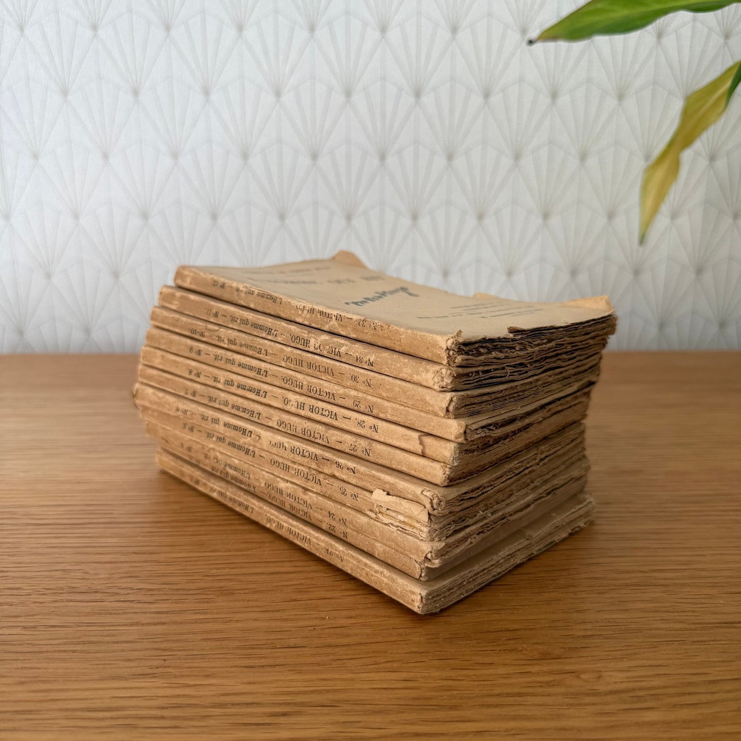 Collection of old French books decoration 0309253