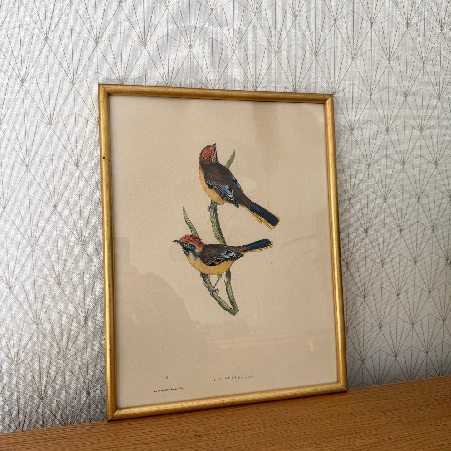 LOVELY VINTAGE ART LITHOGRAPHY BIRDS FRAMED 20102510 Fleamarketfrance