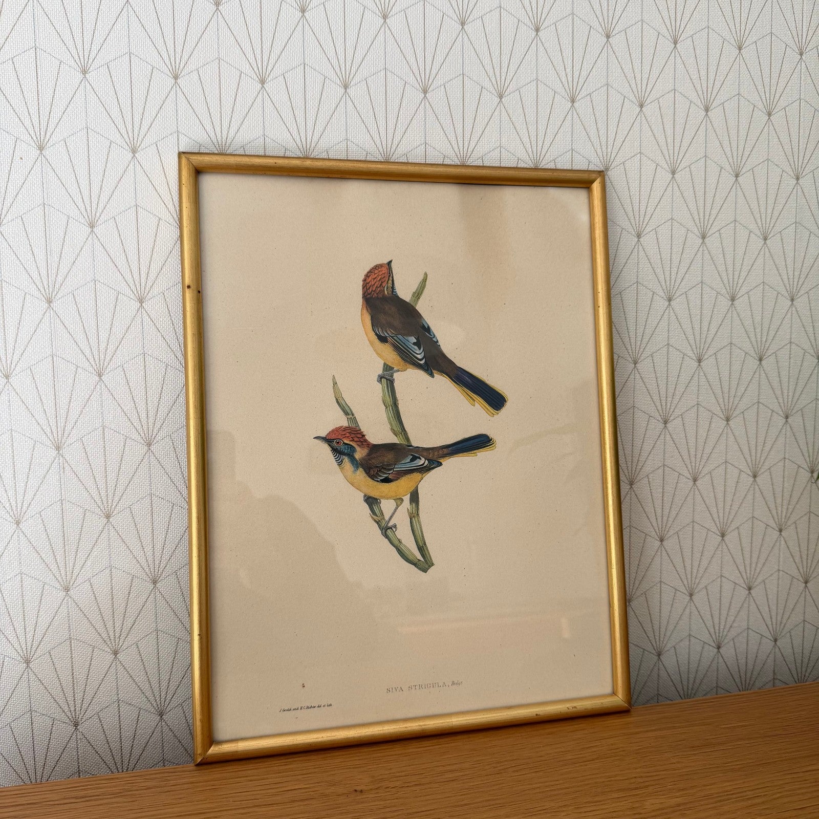 LOVELY VINTAGE ART LITHOGRAPHY BIRDS FRAMED 20102510 Fleamarketfrance