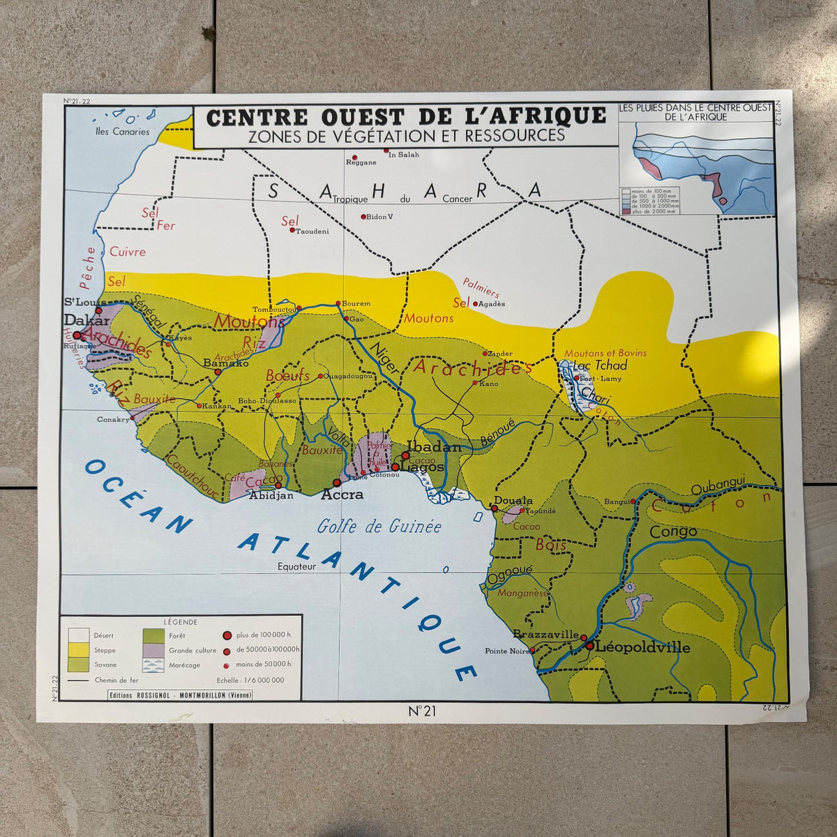 Vintage French Educational Map Poster Africa Geography School 20082610 Fleamarketfrance