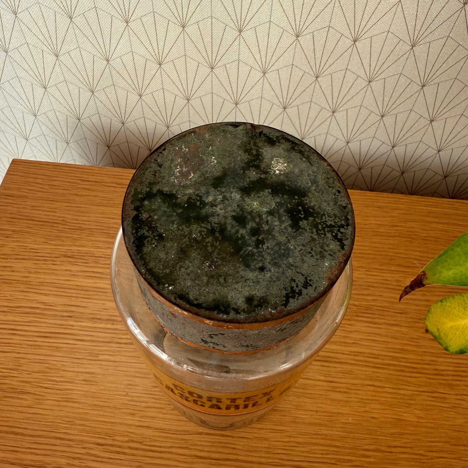 French Apothecary Jar Clear Glass Pharmacy Cortex Cascarille 1601251 Fleamarketfrance