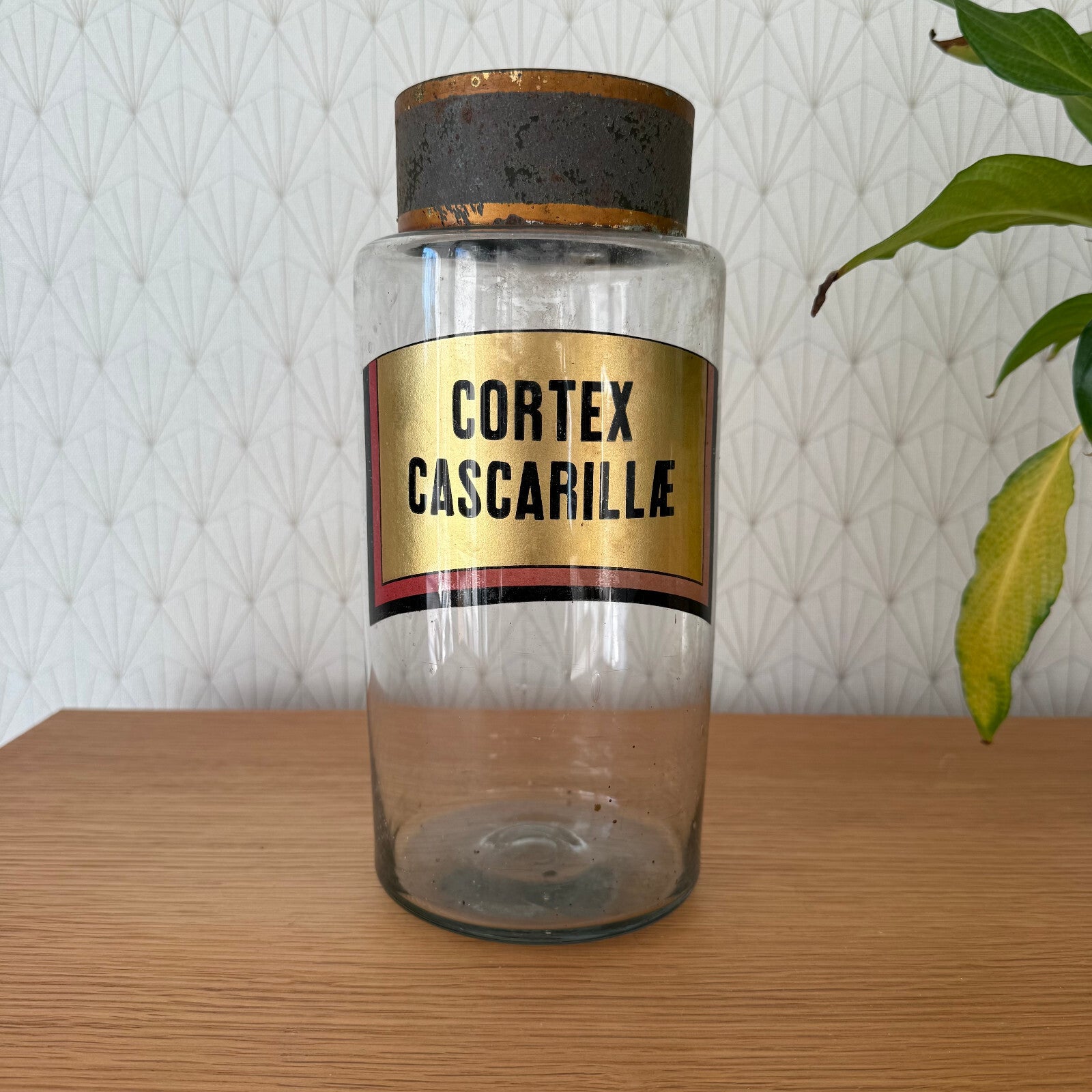 French Apothecary Jar Clear Glass Pharmacy Cortex Cascarille 1601251 Fleamarketfrance