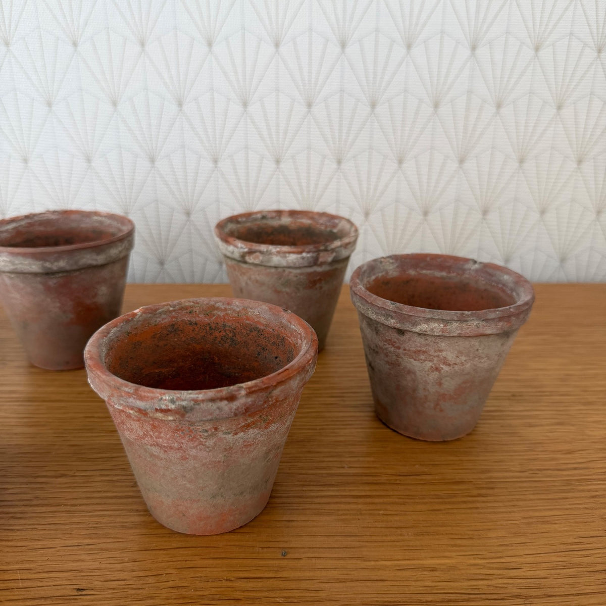 Vintage French Terracotta Plant Pots Set of 6 Small Planters 15092613 Fleamarketfrance