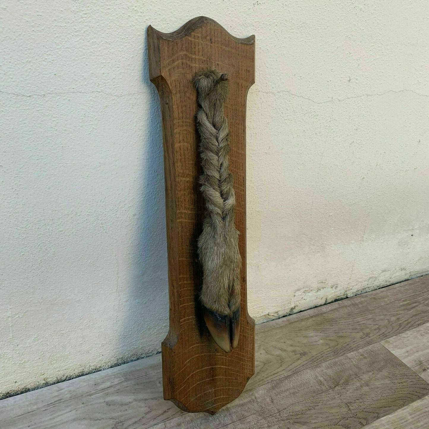 French Taxidermy Trophy Roe Deer Foot Wall Mount Vintage Hunting 09041915 Fleamarketfrance