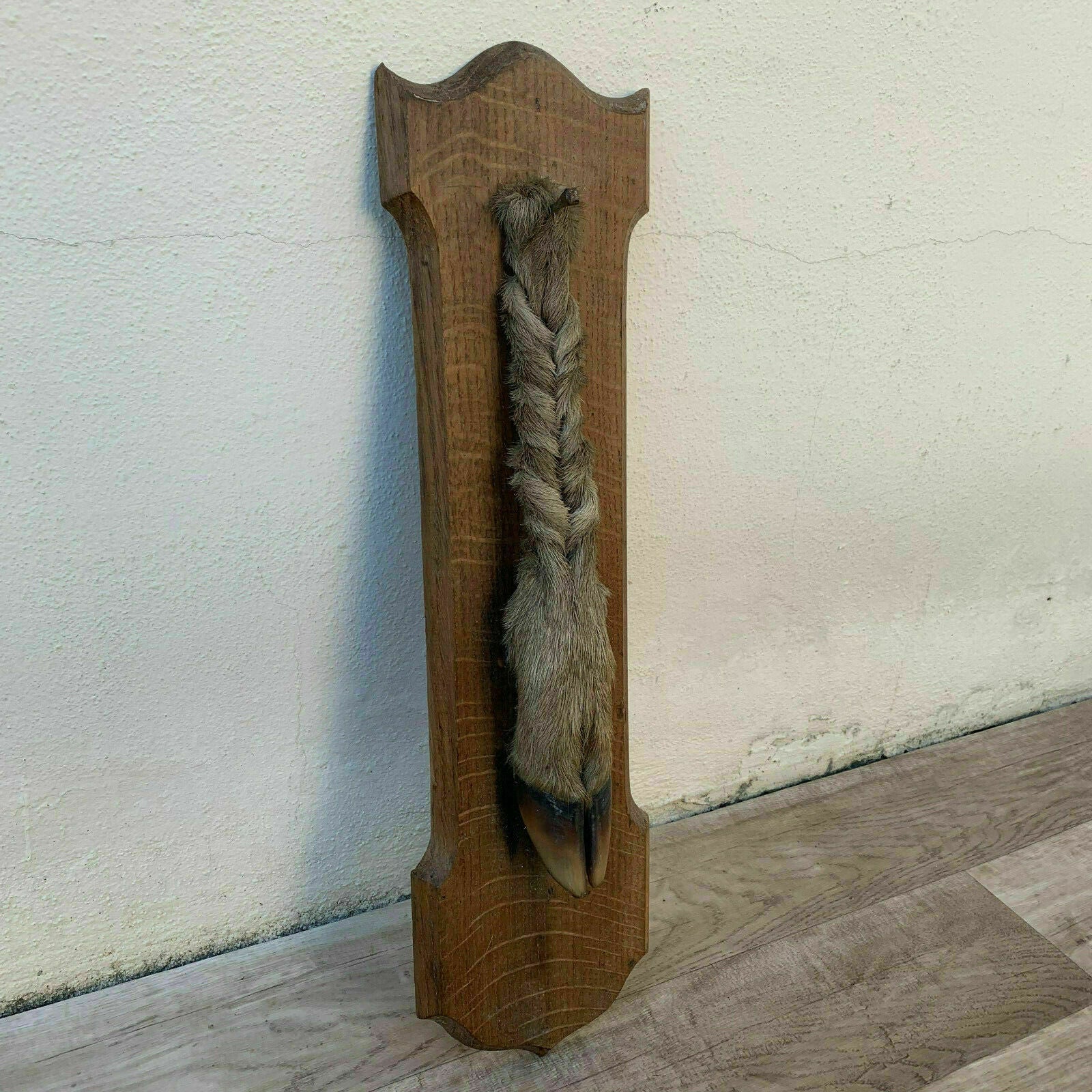 French Taxidermy Trophy Roe Deer Foot Wall Mount Vintage Hunting 09041915 Fleamarketfrance