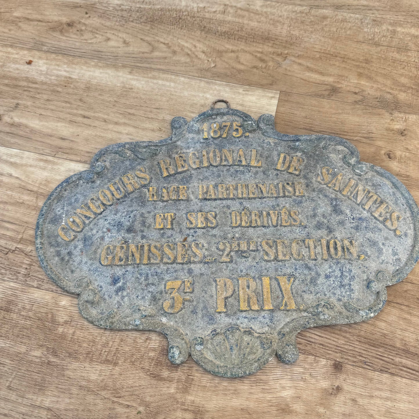 French Agriculture Prize Plaque 1875 Regional Saintes Bronze Medal 2507245 Fleamarketfrance