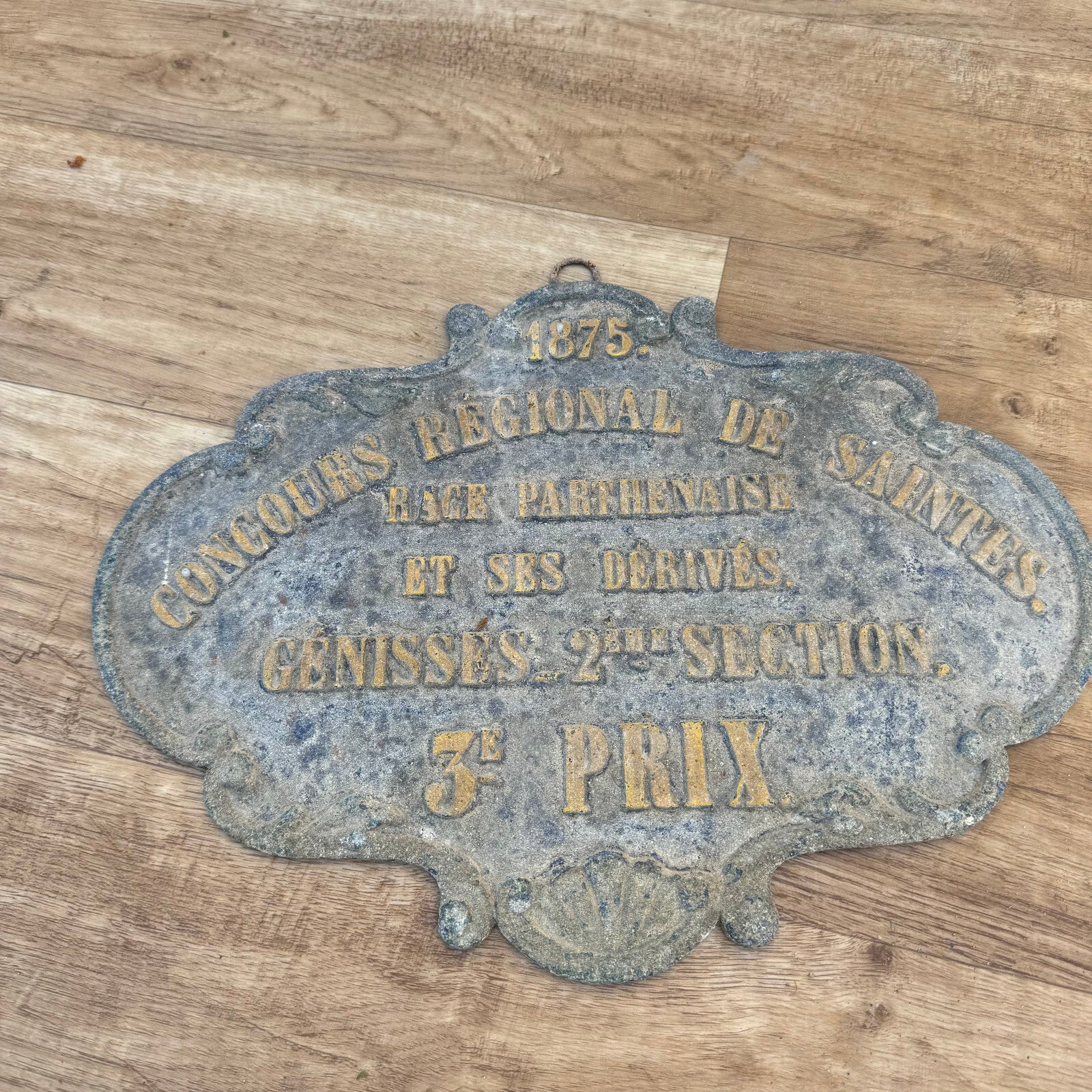 French Agriculture Prize Plaque 1875 Regional Saintes Bronze Medal 2507245 Fleamarketfrance