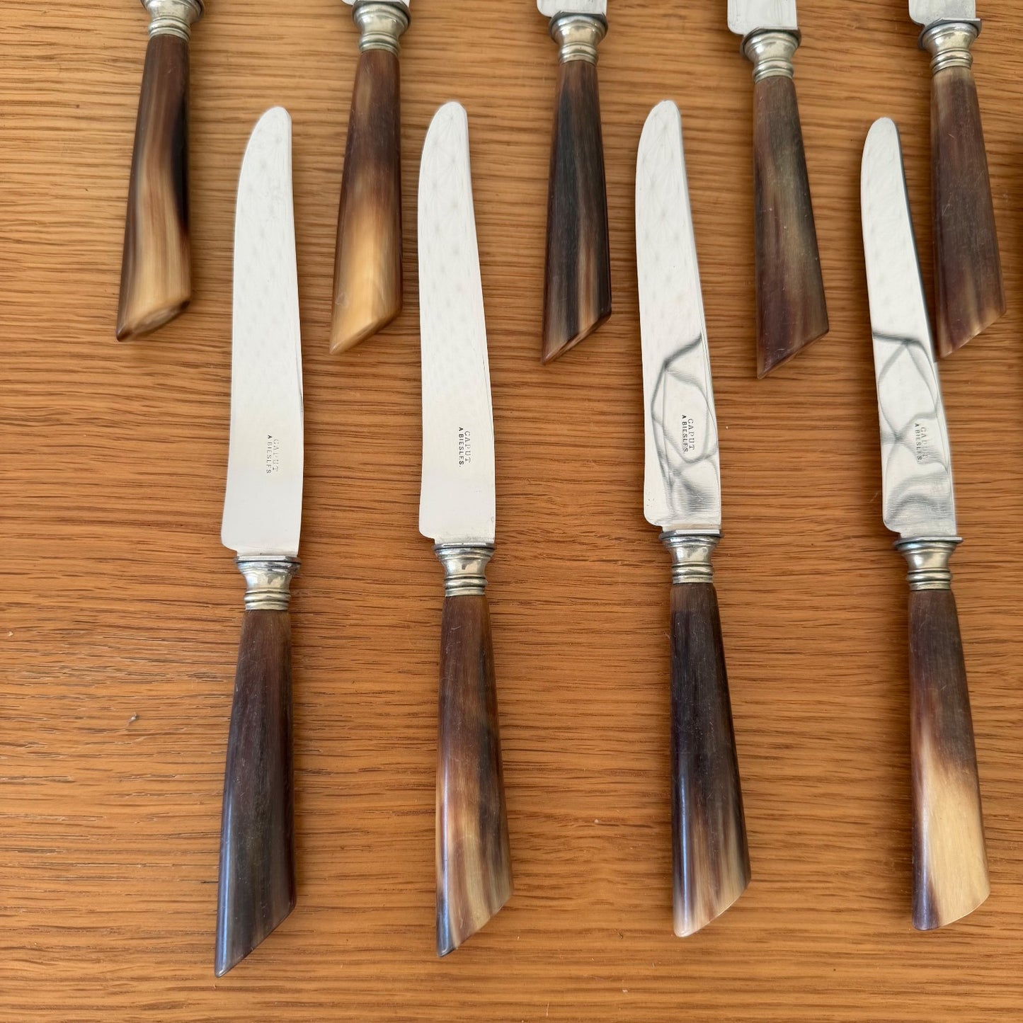 French Steak Knives Horn Handles Silver Ferrules Set of 12 Vintage 0302268 Unbranded