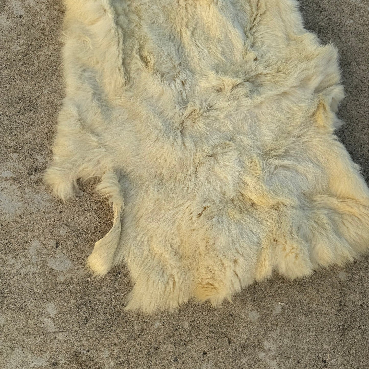 French Sheepskin Rug Vintage Natural Fur Pelt Hide Leather 02082412 Fleamarketfrance