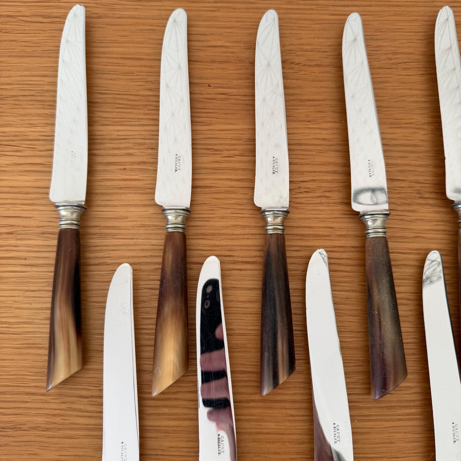 French Steak Knives Horn Handles Silver Ferrules Set of 12 Vintage 0302268 Unbranded