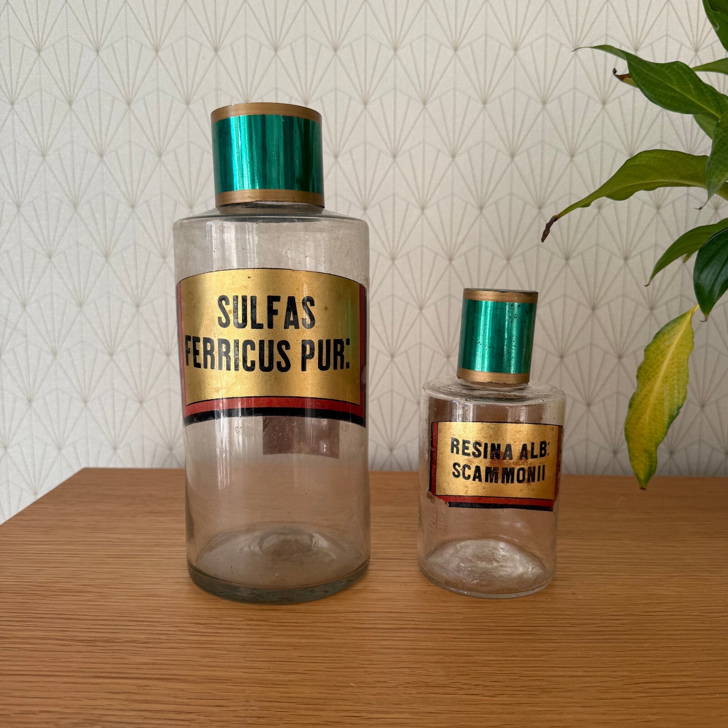 French Apothecary Jars Clear Glass Pharmacy Medicine Bottles 2001252 Fleamarketfrance