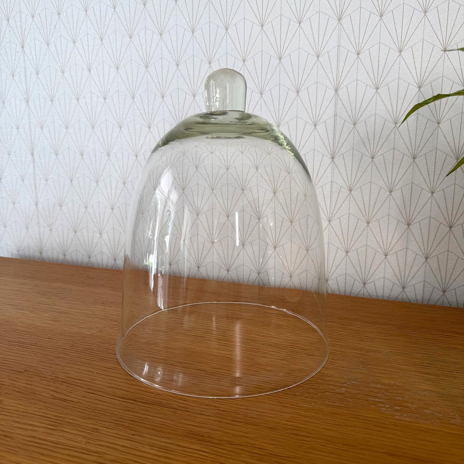 Clear glass cloche dome showing subtle irregular profile and green tint