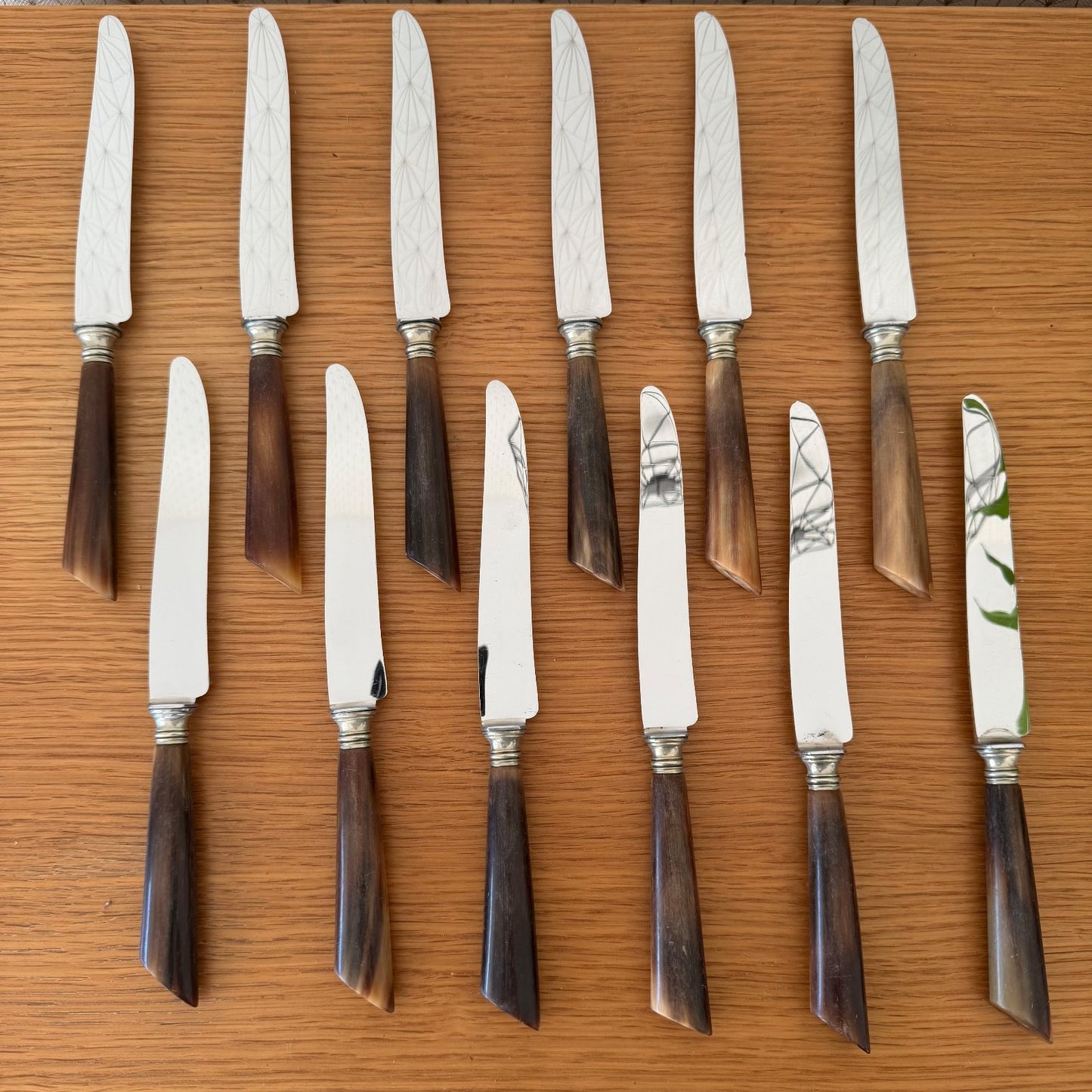 French Steak Knives Horn Handles Silver Ferrules Set of 12 Vintage 0302268 Unbranded