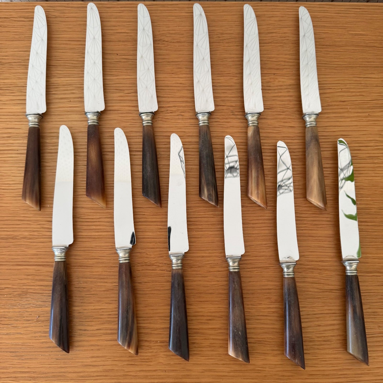 French Steak Knives Horn Handles Silver Ferrules Set of 12 Vintage 0302268 Unbranded