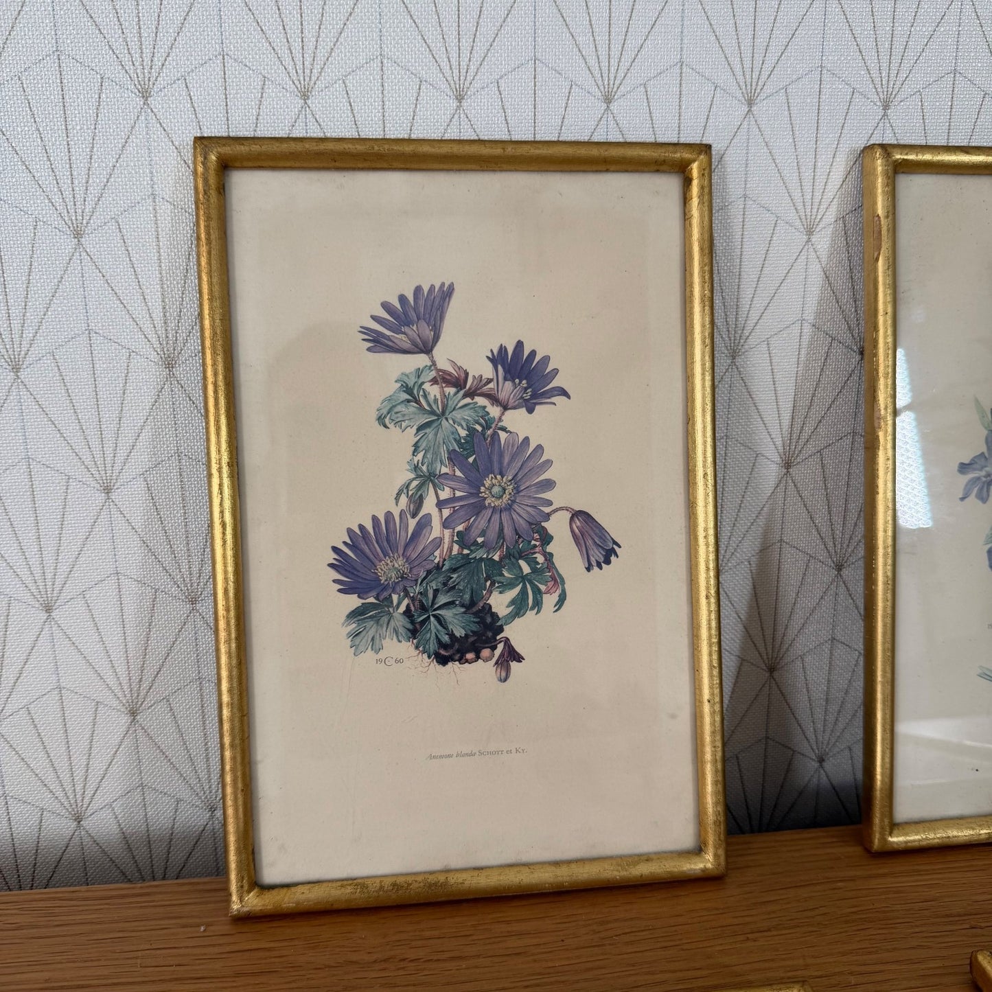 Antique Botanical Print Framed Gold Wood Set of 4 Flowers 2710253