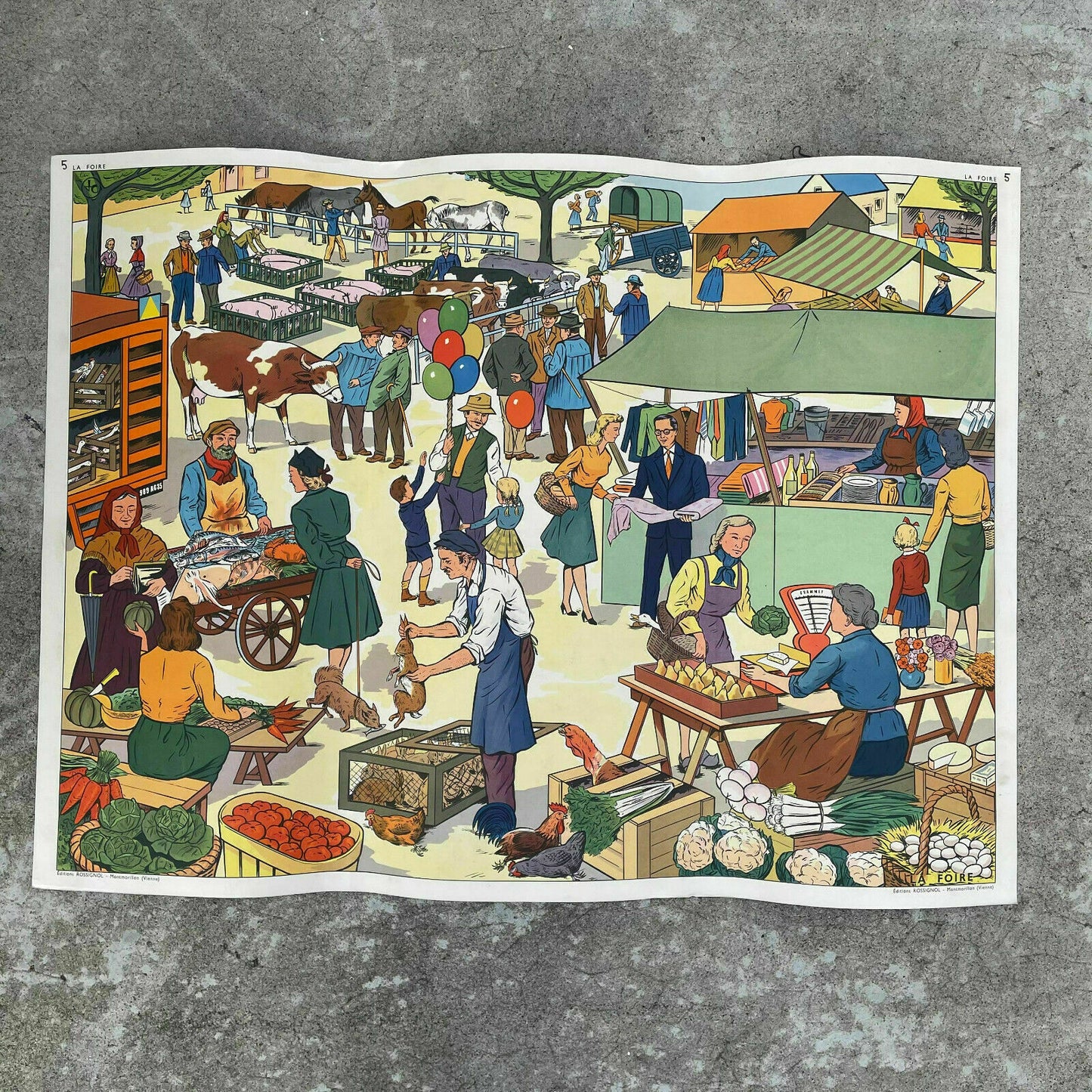 Vintage French School Poster Double-Sided Educational Chart 1950s 05112124 Fleamarketfrance