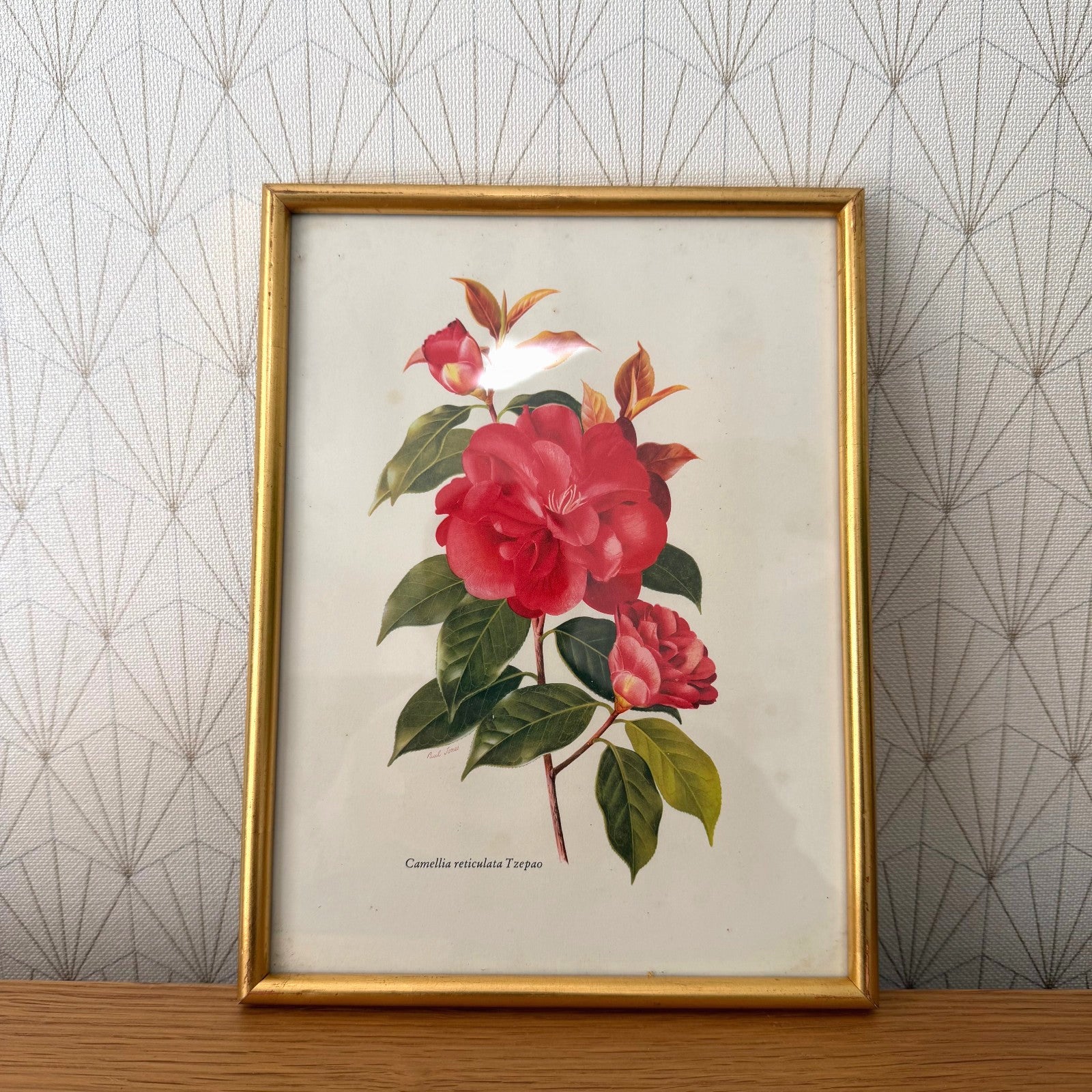 French Botanical Print Camellia Watercolor Gold Frame Vintage Art 2409255 Fleamarketfrance : French vintage and antique decor