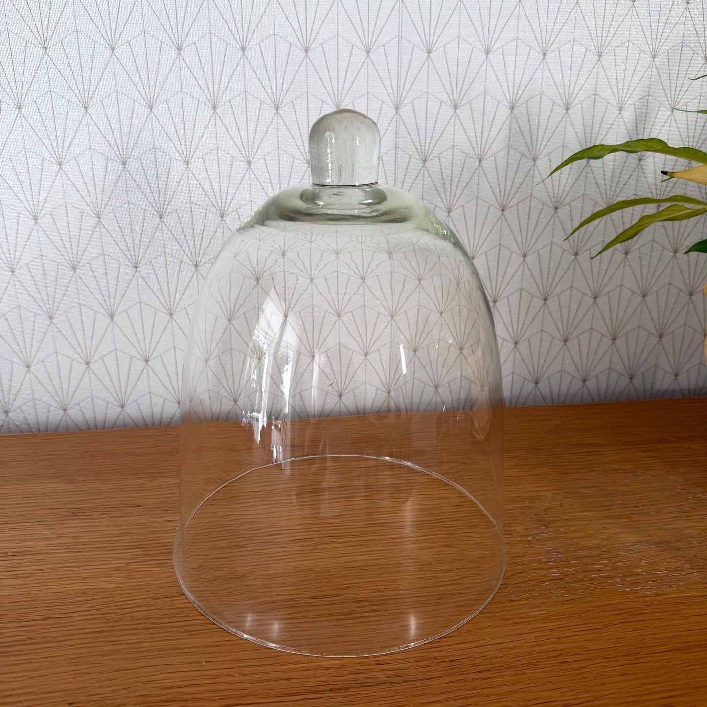 Vintage French glass cloche bell jar display cover from front angle