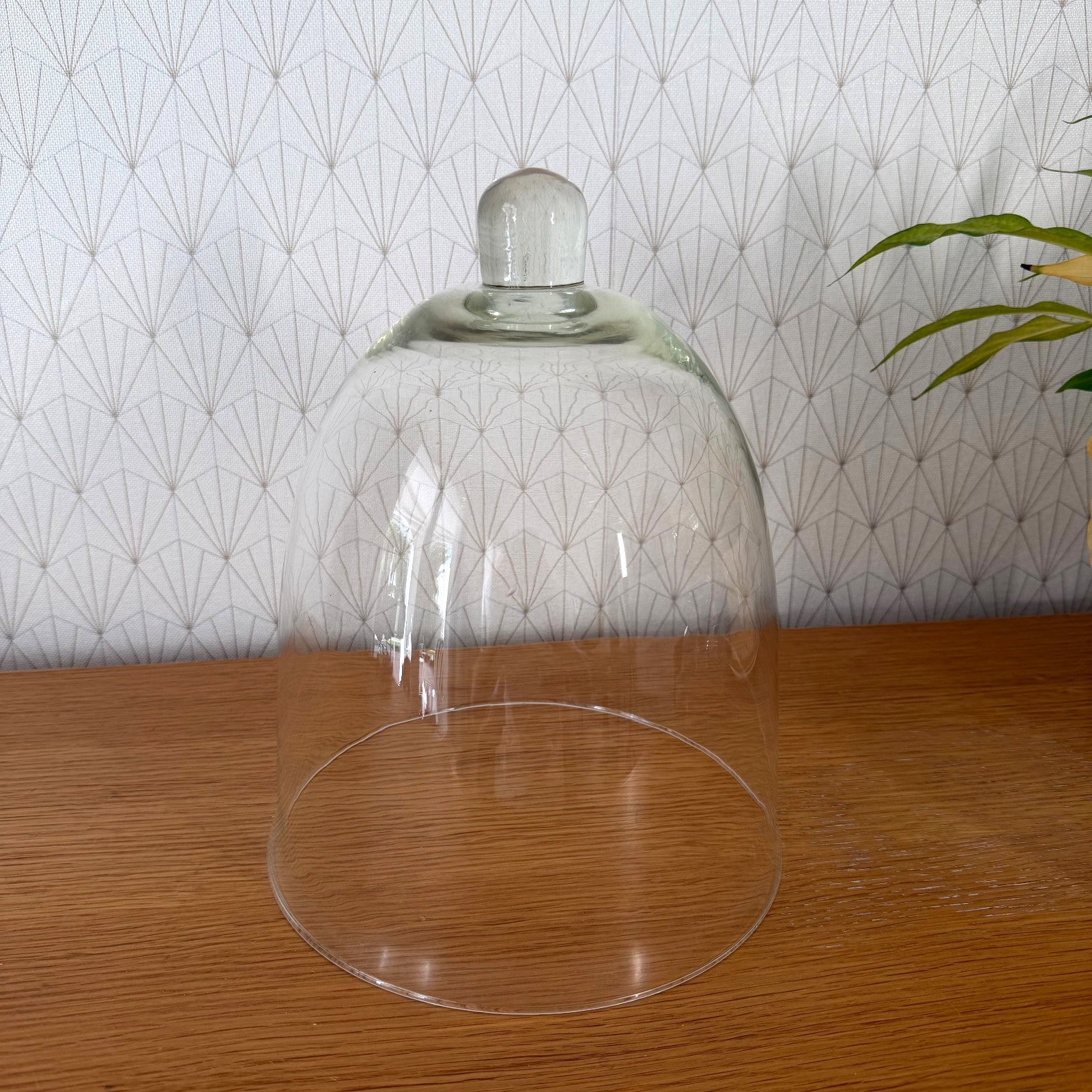 Vintage French glass cloche bell jar display cover from front angle