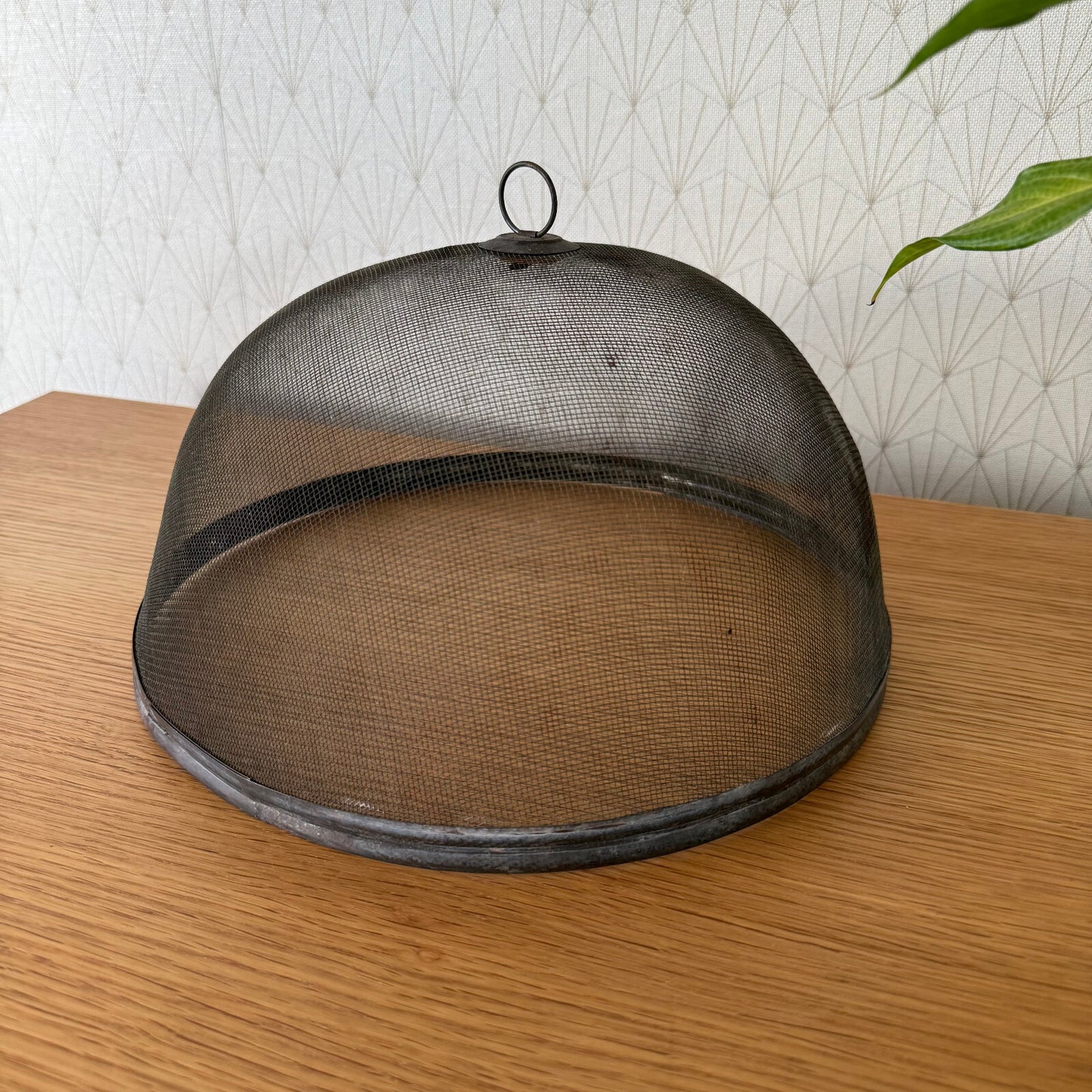 Vintage Wire Metal Cloche Knob Bell Cheese Cover Succulent Keeper 1904251 Unbranded