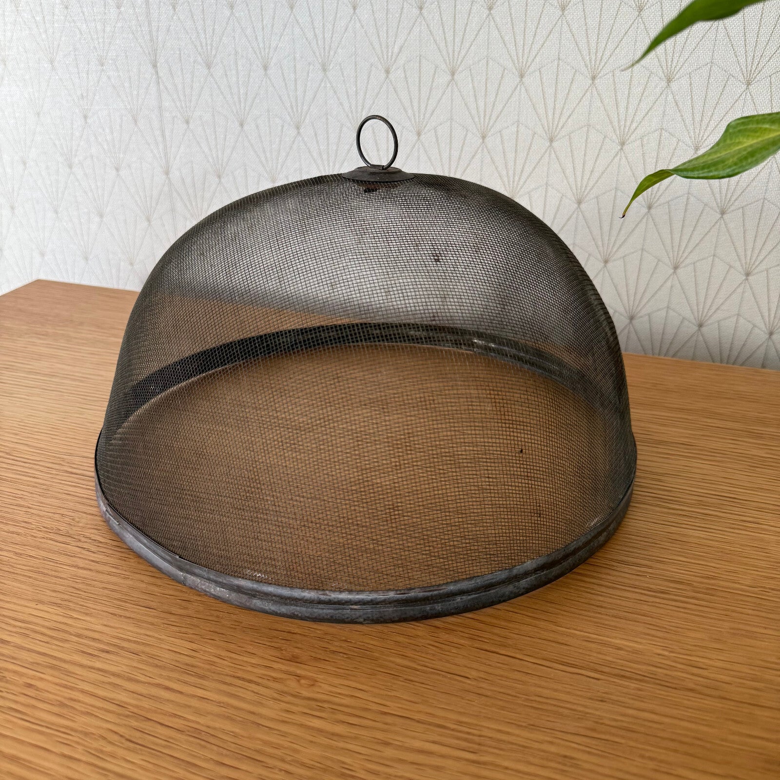 Vintage Wire Metal Cloche Knob Bell Cheese Cover Succulent Keeper 1904251 Unbranded