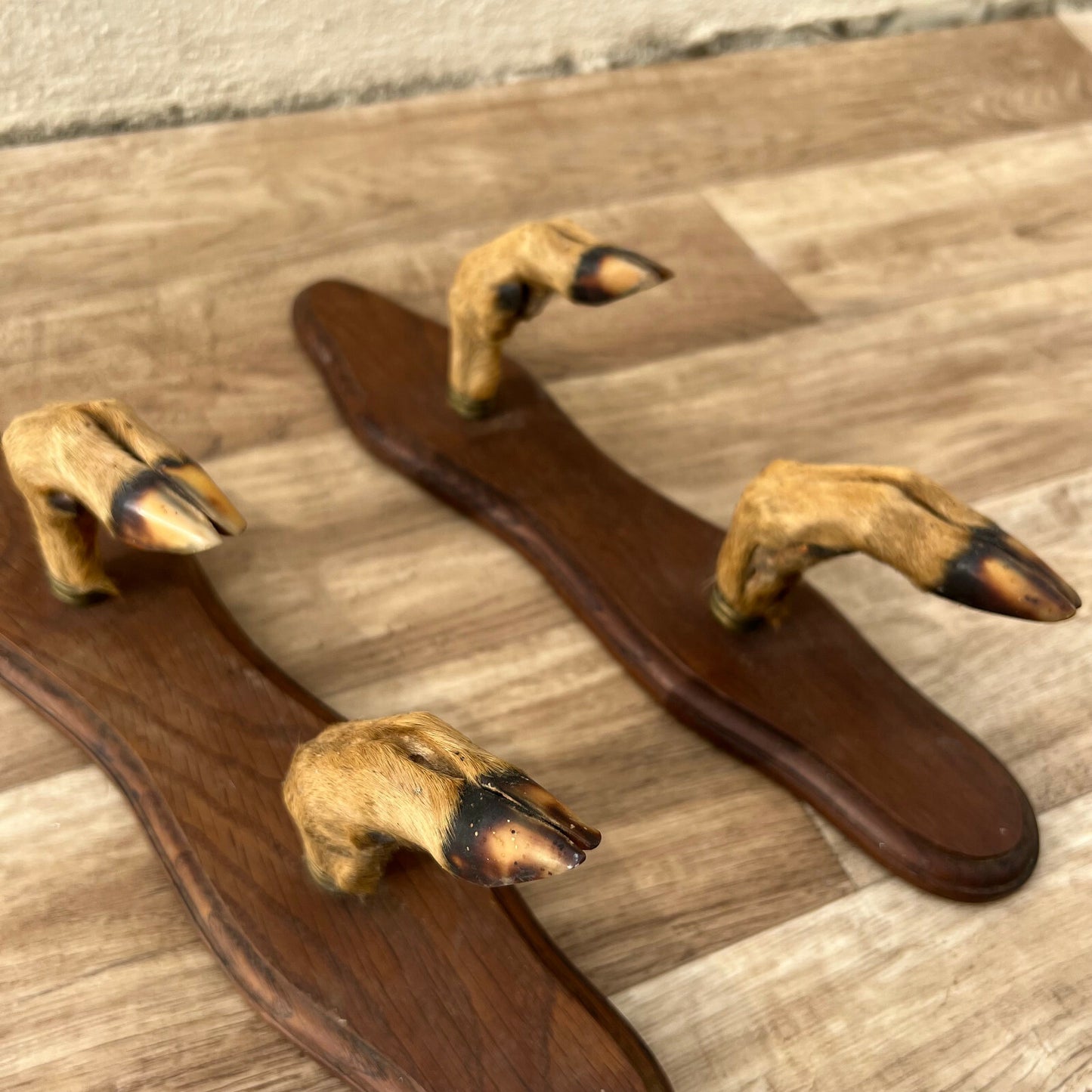 French Antler Wall Hooks Vintage Deer Claw Coat Hanger Chateau 1812219 Fleamarketfrance