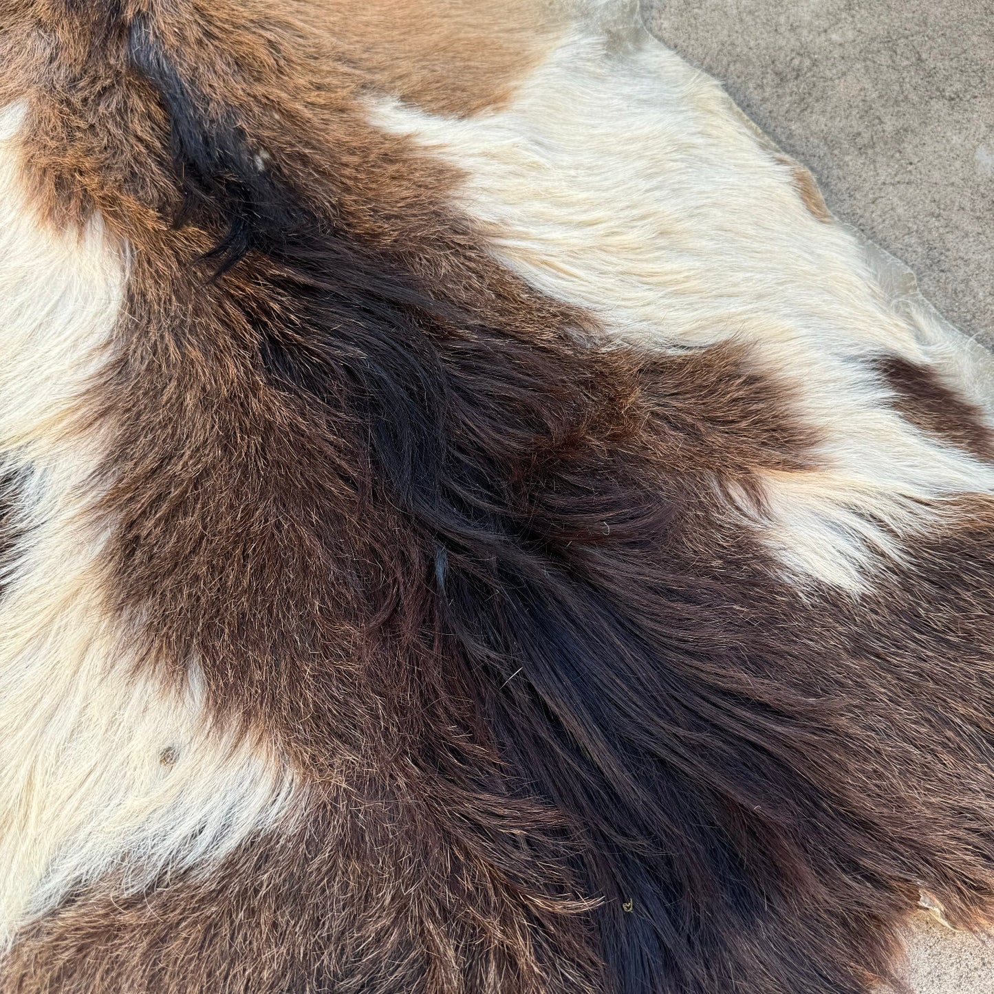 Vintage French Goat Hide Rug Natural Fur Pelt Taxidermy Decor 0208249 Fleamarketfrance