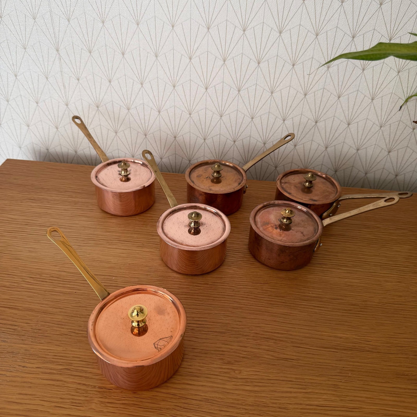 French Copper Saucepans Set of 6 with Lids Brass Handles Cookware 1803264 Unbranded