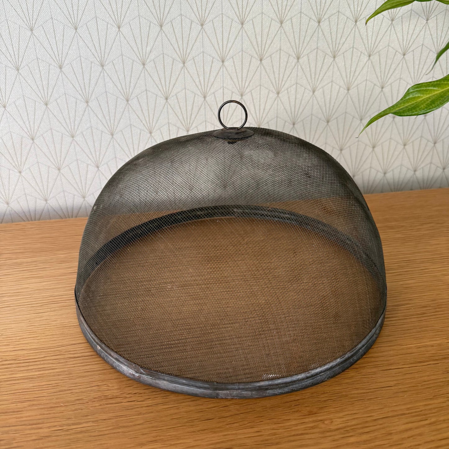 Vintage Wire Metal Cloche Knob Bell Cheese Cover Succulent Keeper 1904251 Unbranded