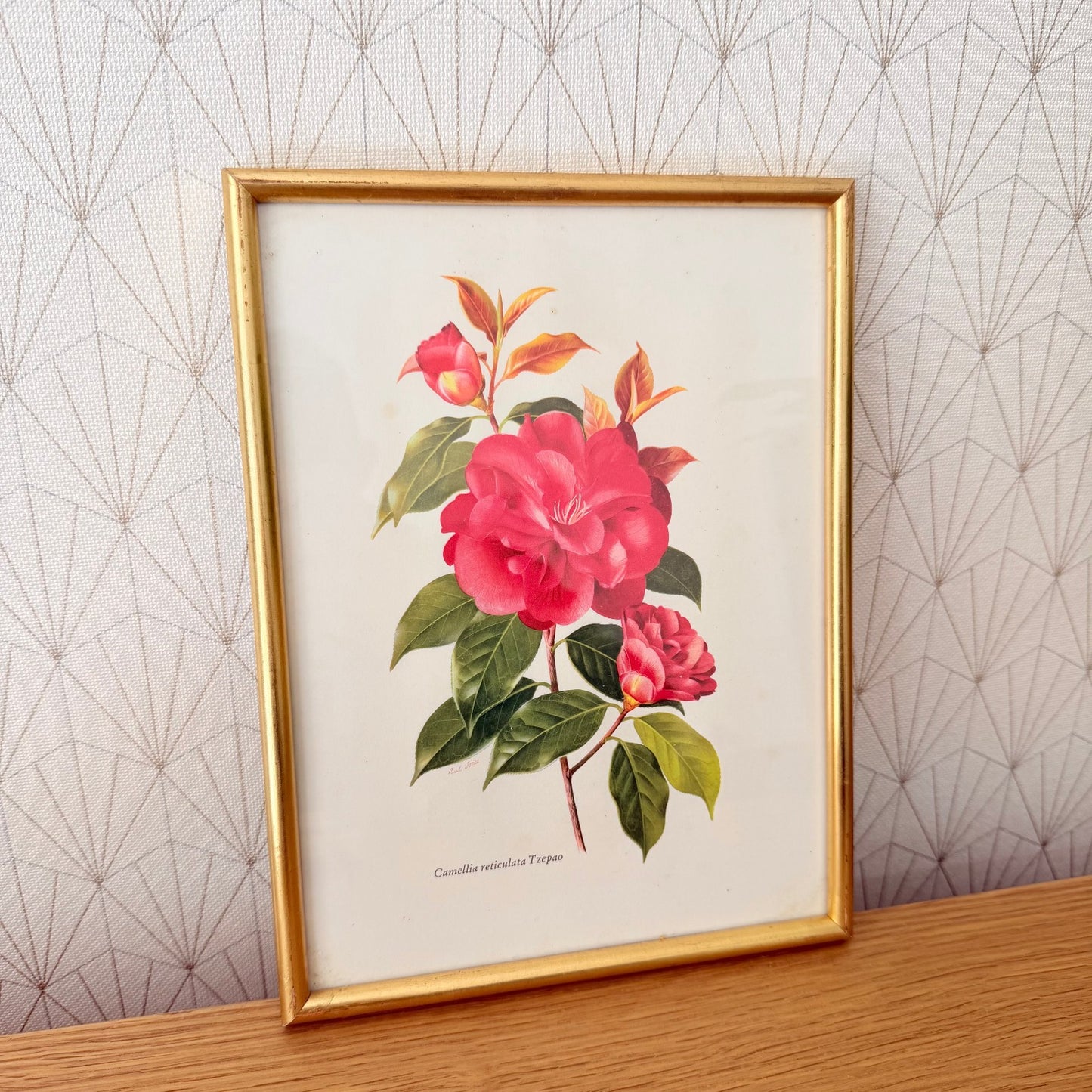 French Botanical Print Camellia Watercolor Gold Frame Vintage Art 2409255 Fleamarketfrance : French vintage and antique decor
