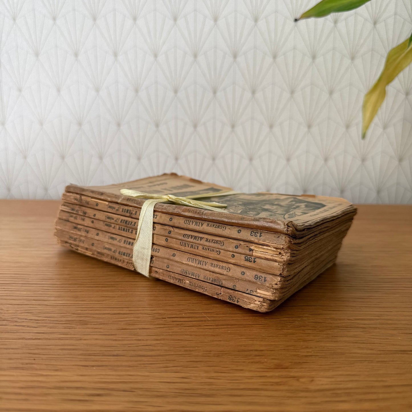 Collection of old French books decoration 0309252