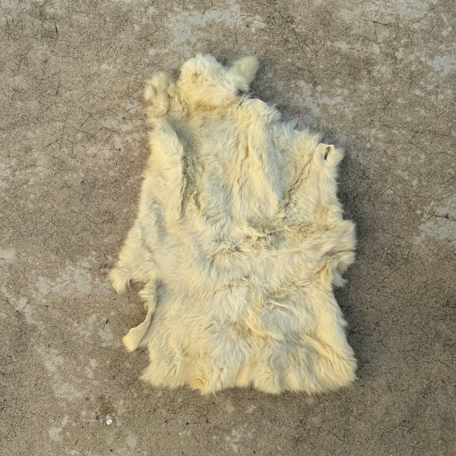 French Sheepskin Rug Vintage Natural Fur Pelt Hide Leather 02082412 Fleamarketfrance