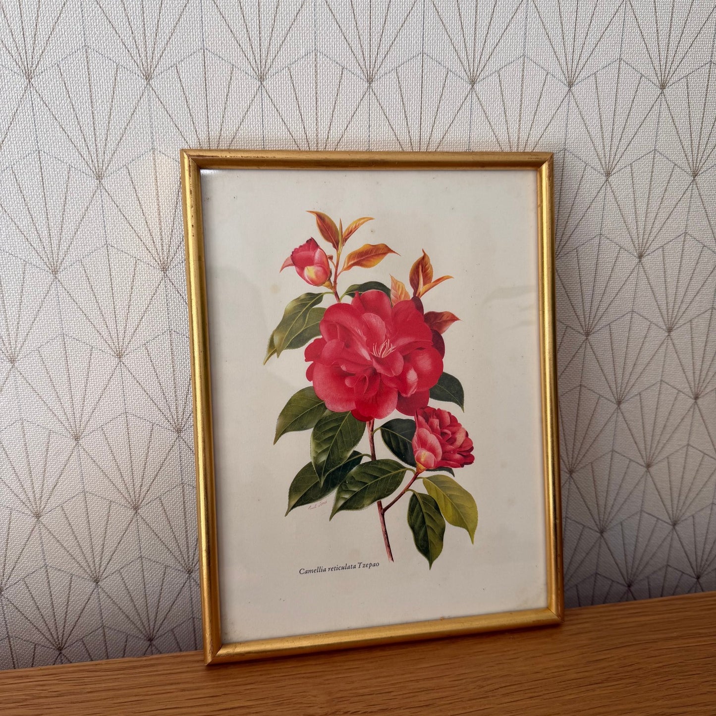 French Botanical Print Camellia Watercolor Gold Frame Vintage Art 2409255 Fleamarketfrance : French vintage and antique decor