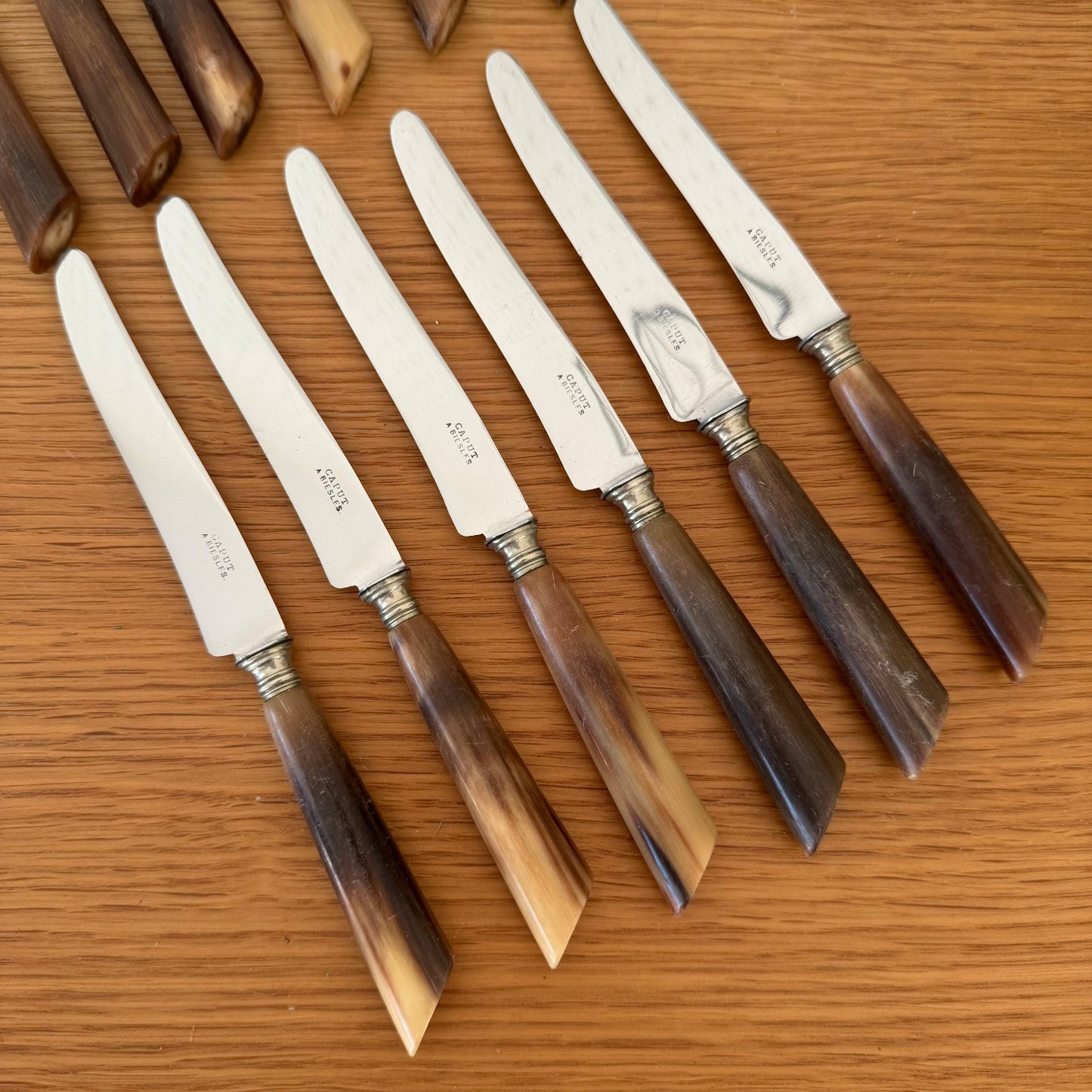 French Horn Handle Dinner Knives Silver Collar Set 12 Vintage 0302266 CAPUT A BIESLES