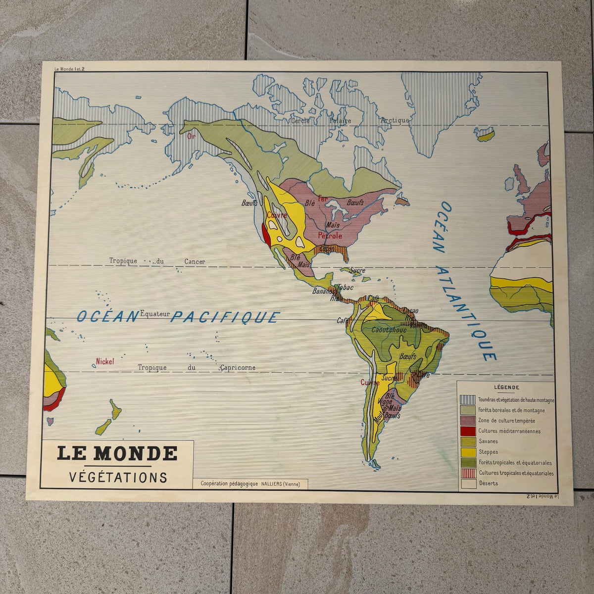 Vintage French Educational Vegetation Map Poster School 20082618 Fleamarketfrance