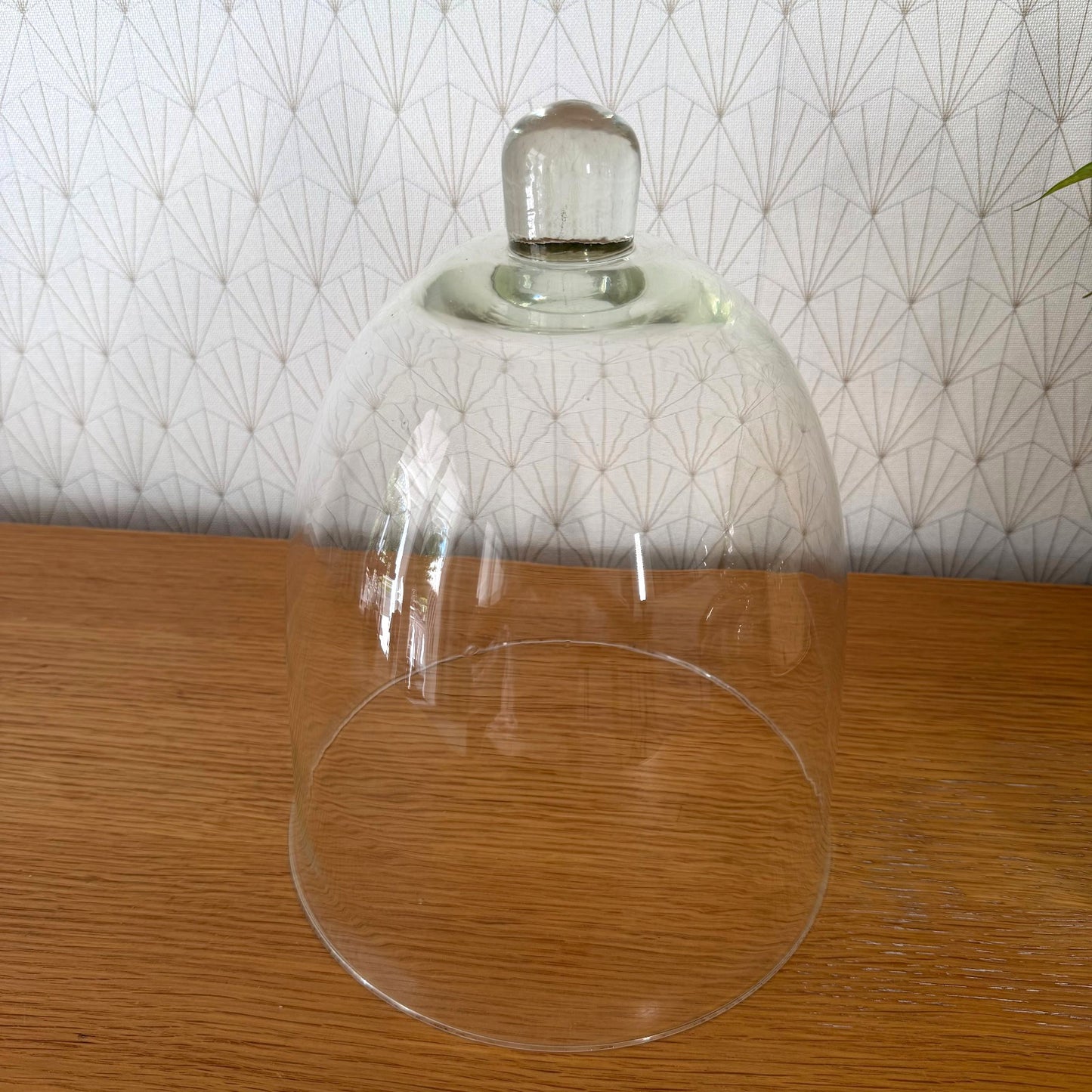 Vintage French glass cloche dome with natural patina on wooden table