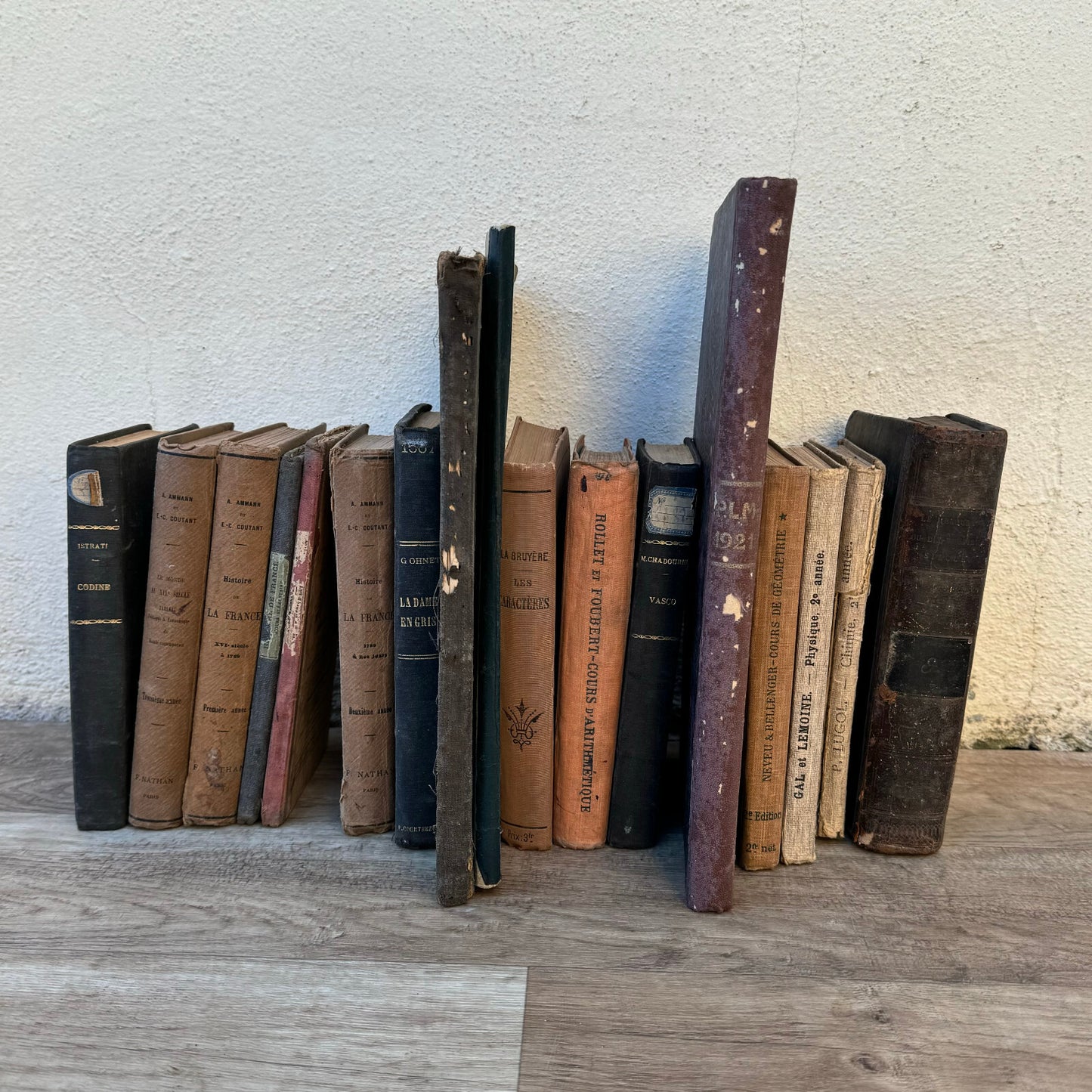 Antique French Books Collection 19th Century Decorative Leather 0905249 Fleamarketfrance