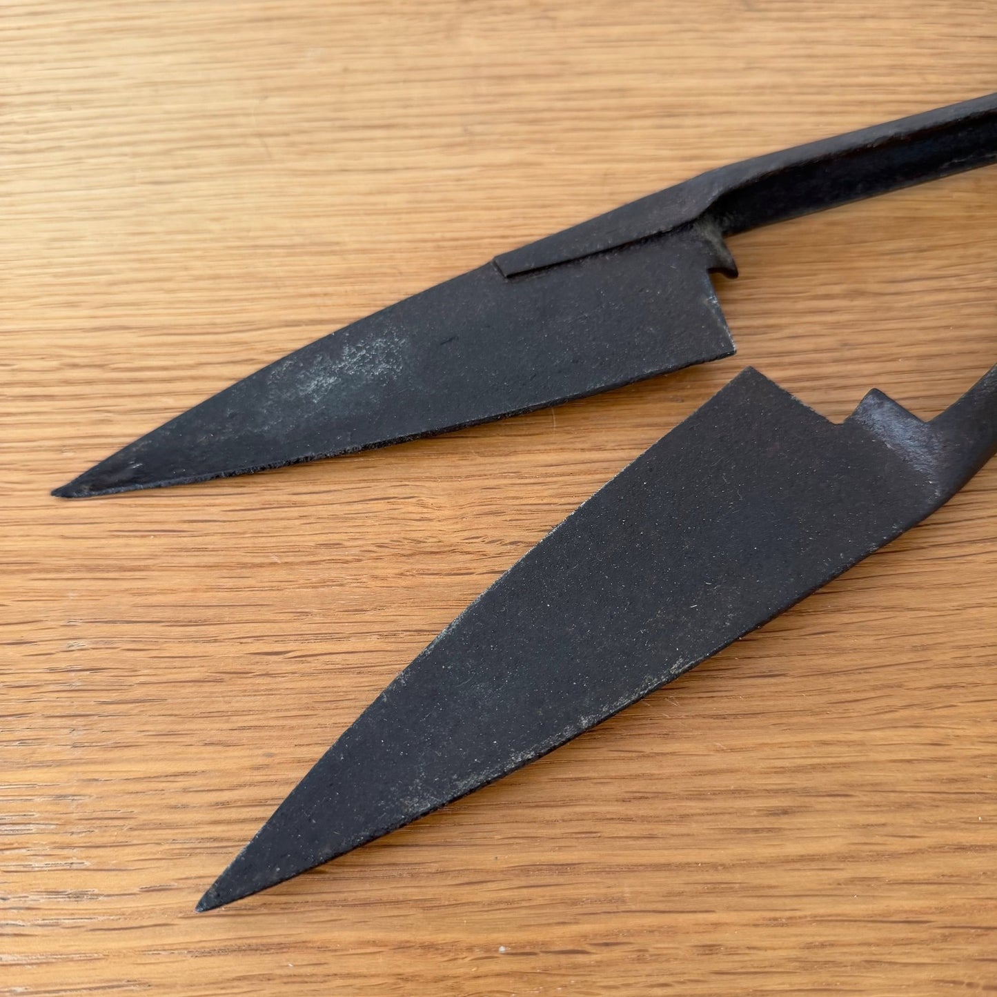 Antique French Sheep Shears Hand Forged Iron Spring Shears 1908264 Unbranded