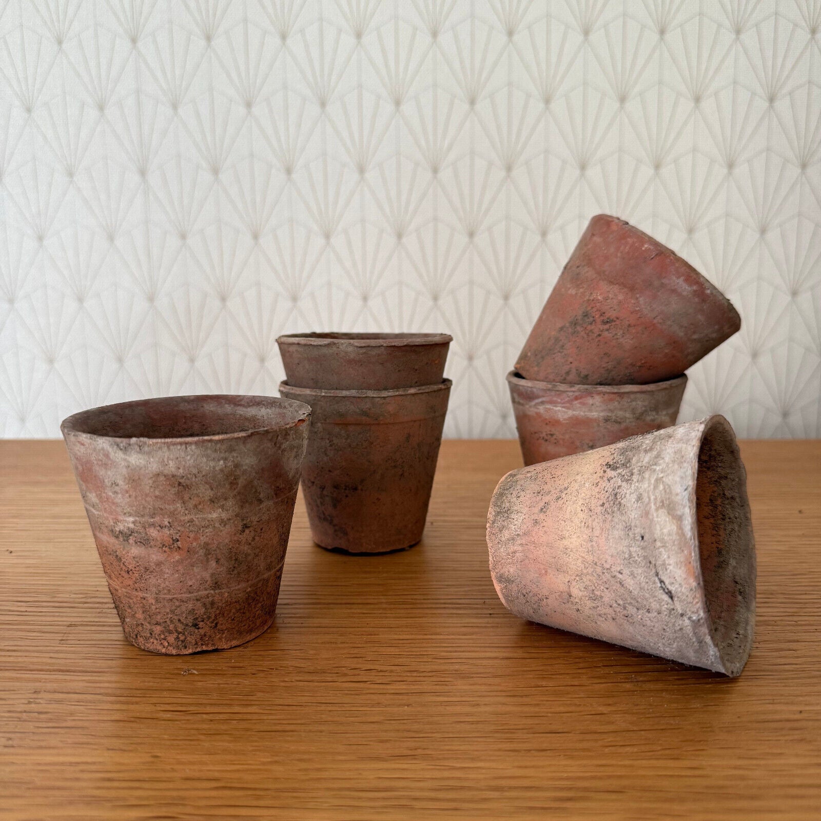 Vintage French Lot of 6 Terracotta Pots Planter 1102258 - Fleamarketfrance