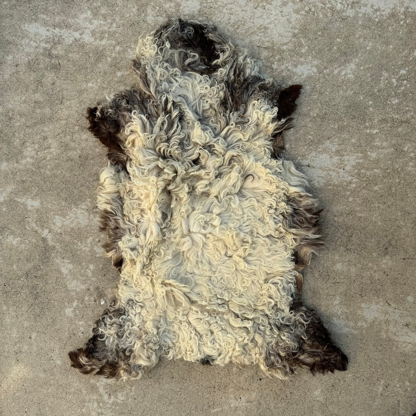 French Sheepskin Rug Curly Wool Vintage Natural Fleece Pelt 02082411 Fleamarketfrance