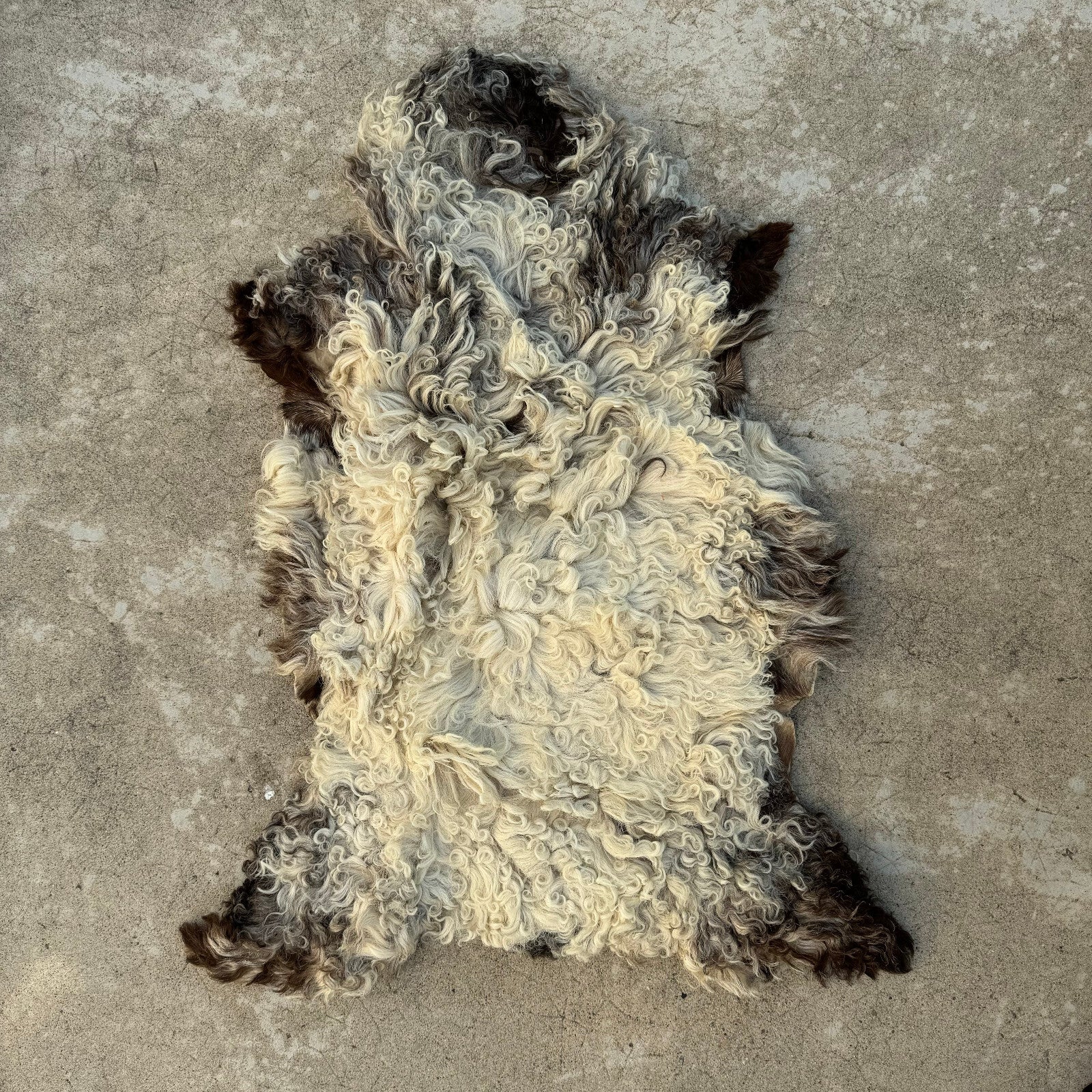 French Sheepskin Rug Curly Wool Vintage Natural Fleece Pelt 02082411 Fleamarketfrance