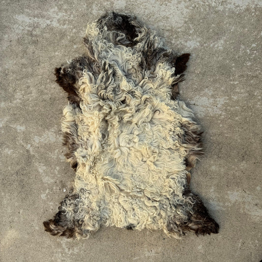 French Sheepskin Rug Curly Wool Vintage Natural Fleece Pelt 02082411 Fleamarketfrance