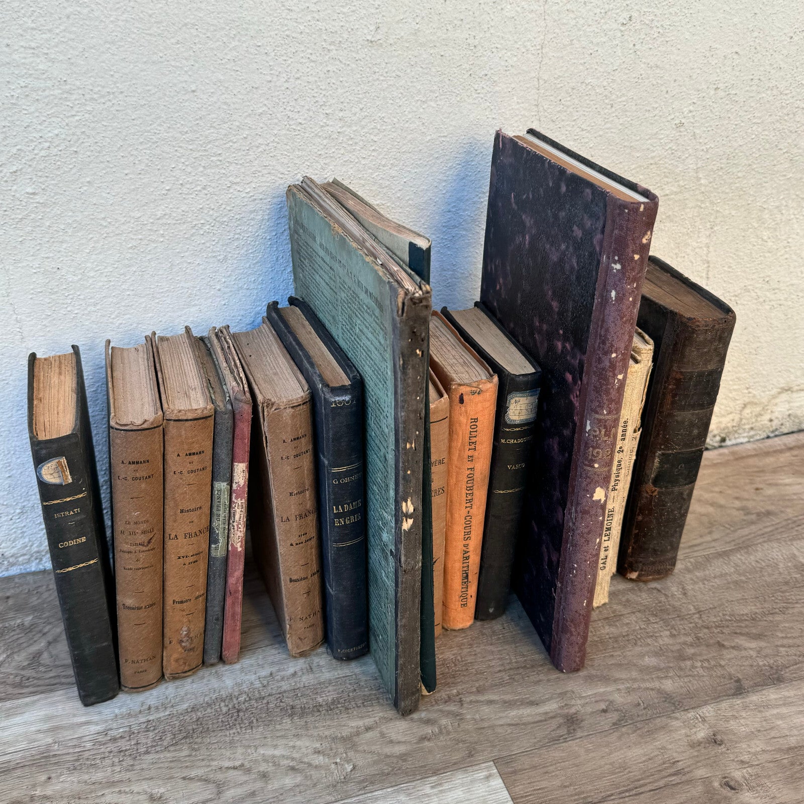 Antique French Books Collection 19th Century Decorative Leather 0905249 Fleamarketfrance
