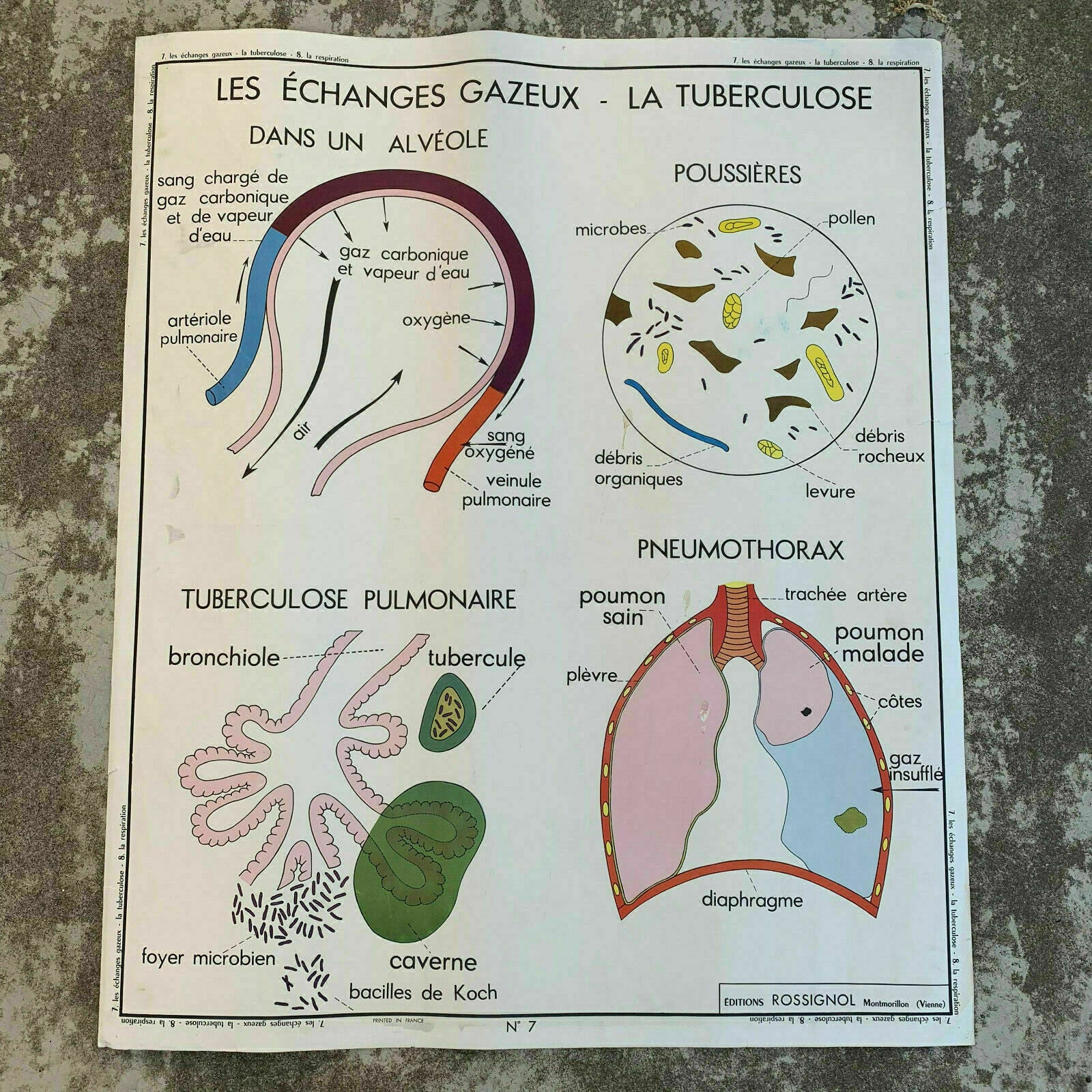 ROSSIGNOL MDI Vintage French School Poster anatomy Two Sides BREATHE 19071910 - Fleamarketfrance