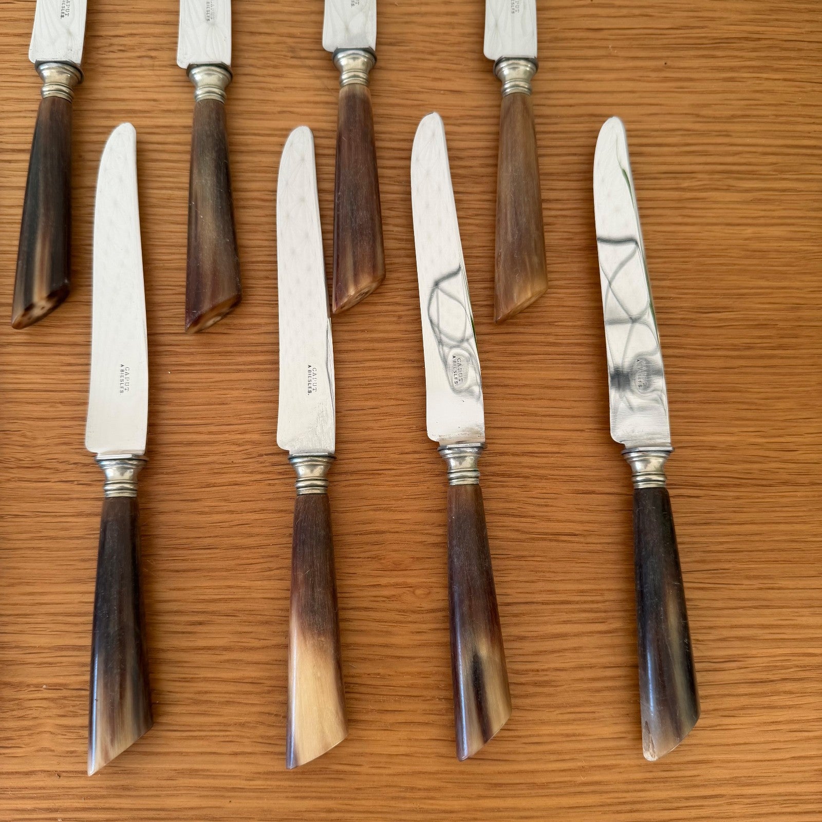 French Steak Knives Horn Handles Silver Ferrules Set of 12 Vintage 0302268 Unbranded