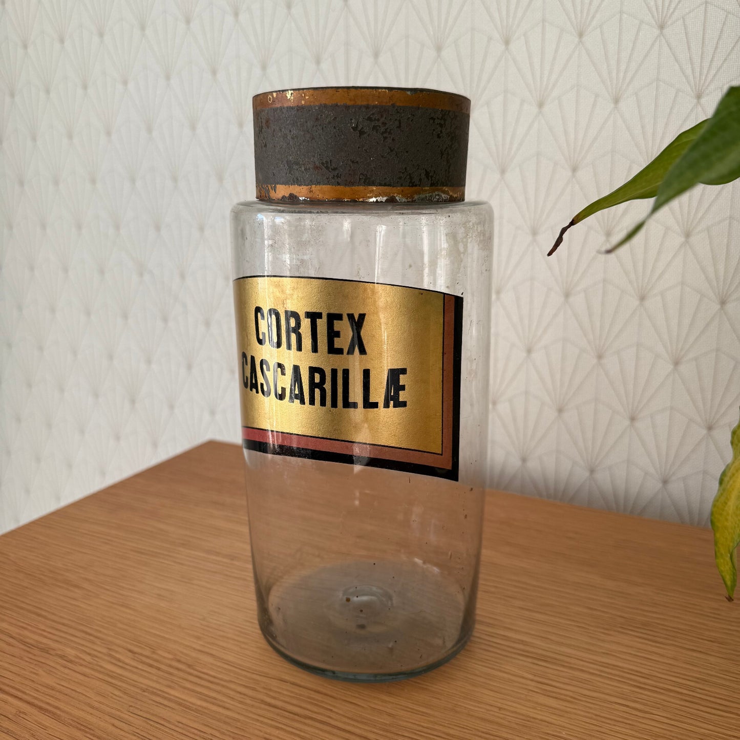 French Apothecary Jar Clear Glass Pharmacy Cortex Cascarille 1601251 Fleamarketfrance