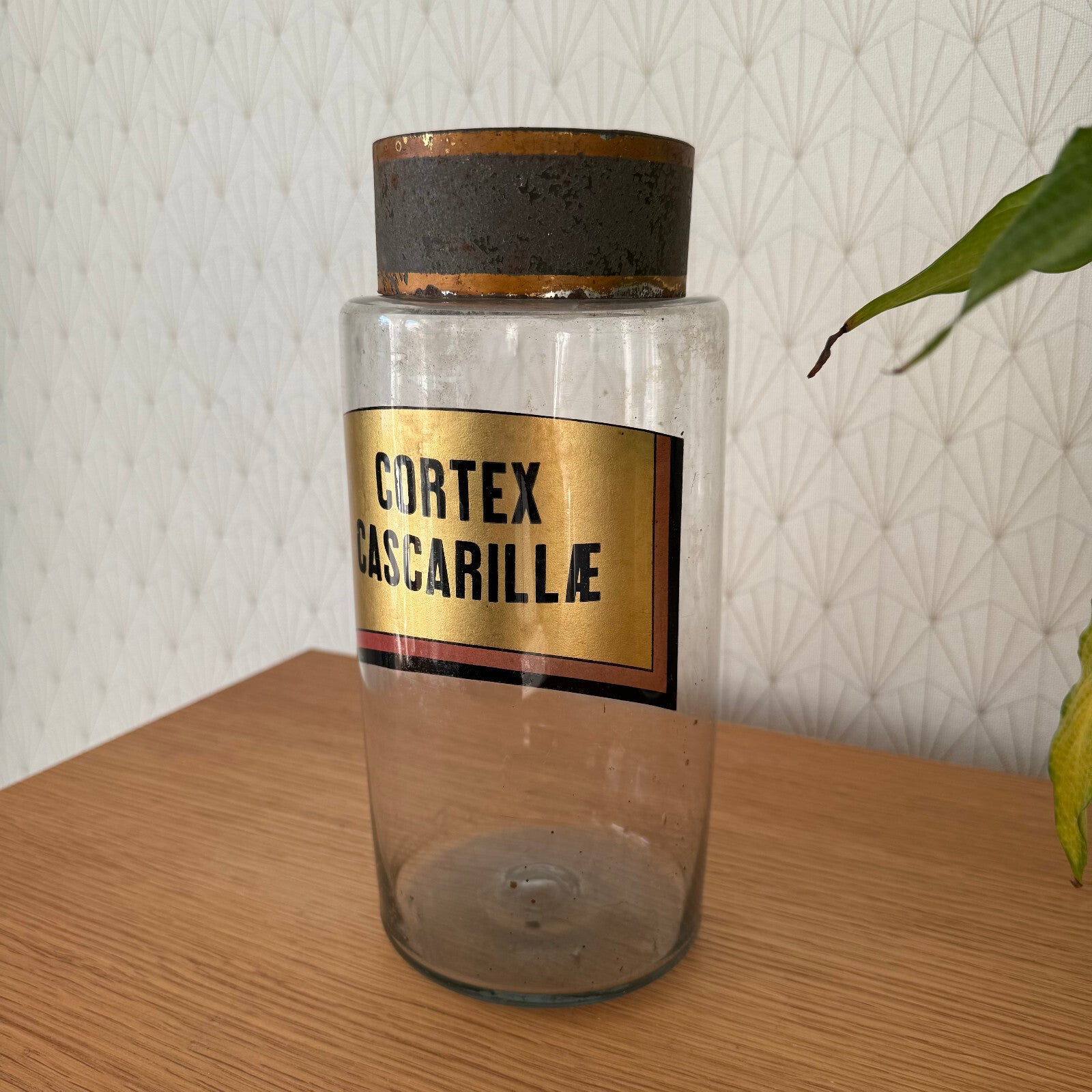 French Apothecary Jar Clear Glass Pharmacy Cortex Cascarille 1601251 Fleamarketfrance