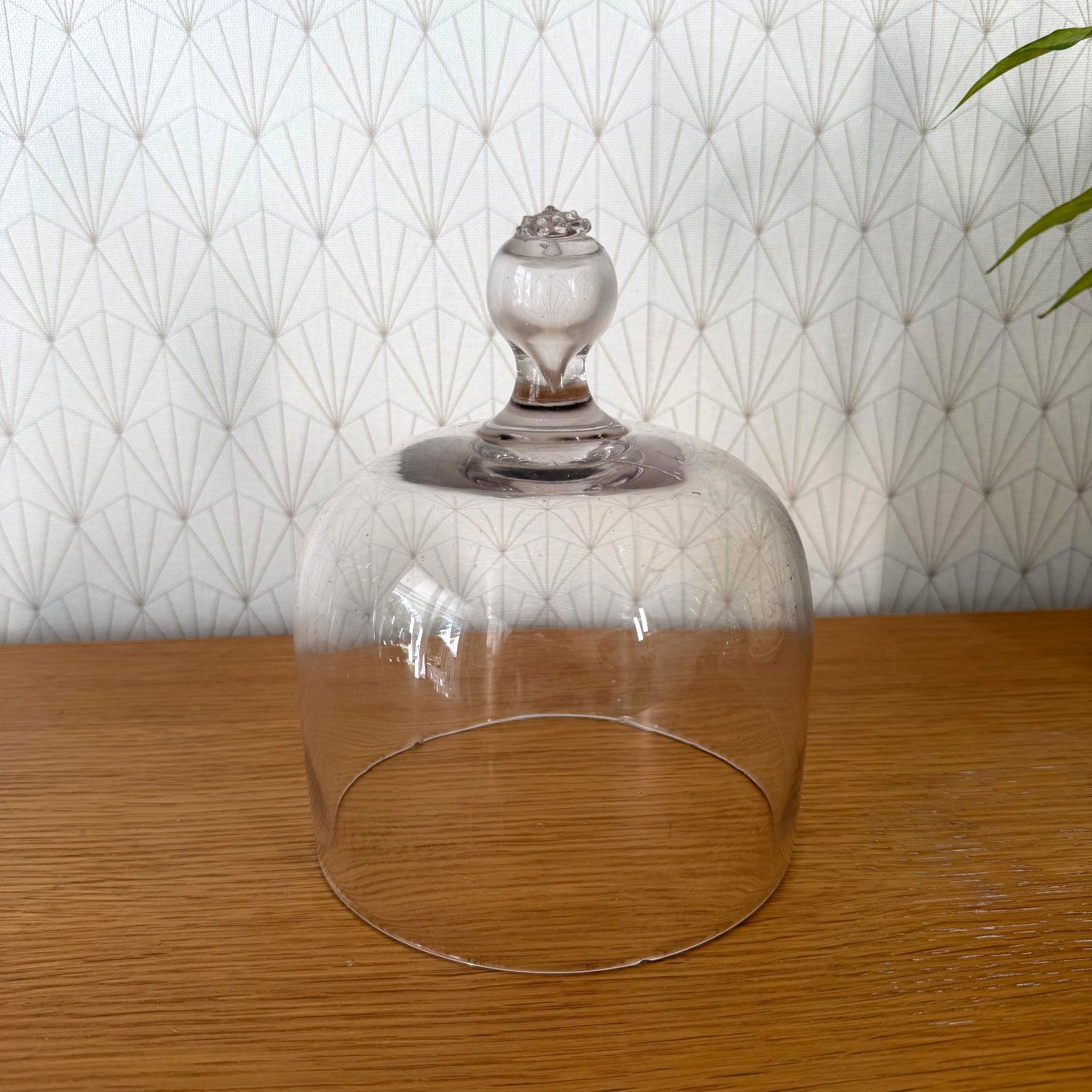Close-up view of textured hand-blown glass cloche dome knob detail